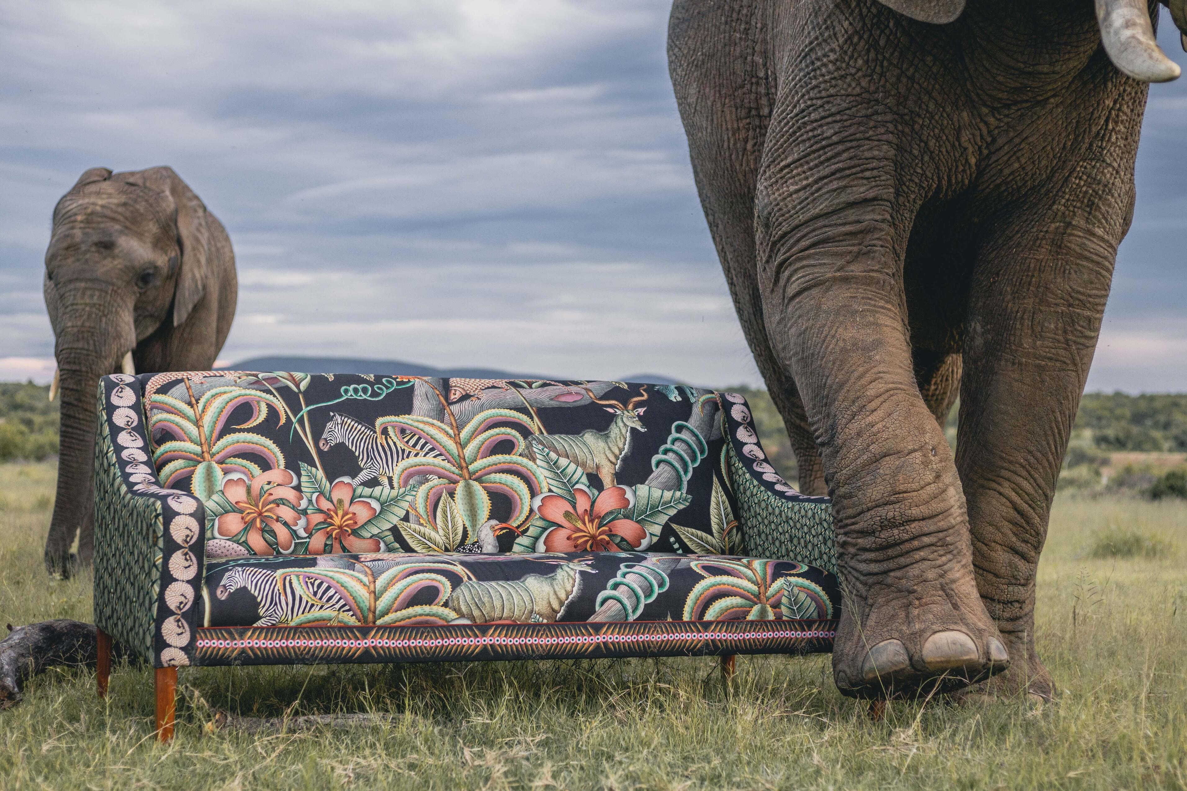 Thanda Limited Edition Sofa