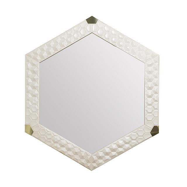 Turtle Mirror