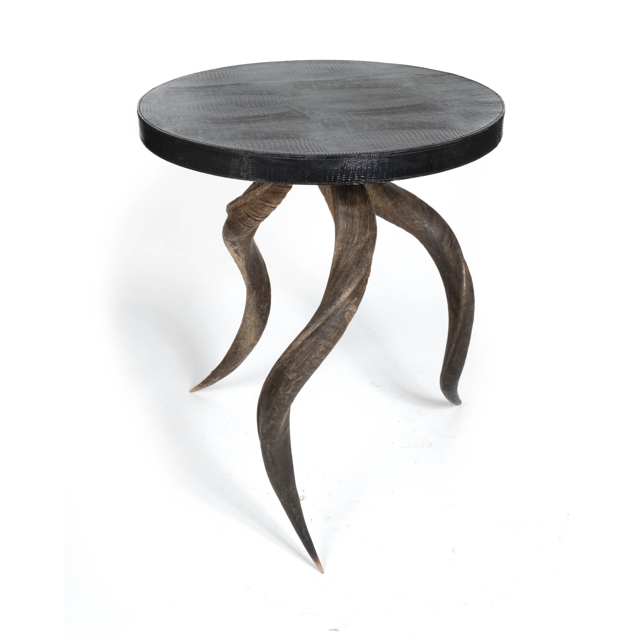 Natural Kudu Horn Table