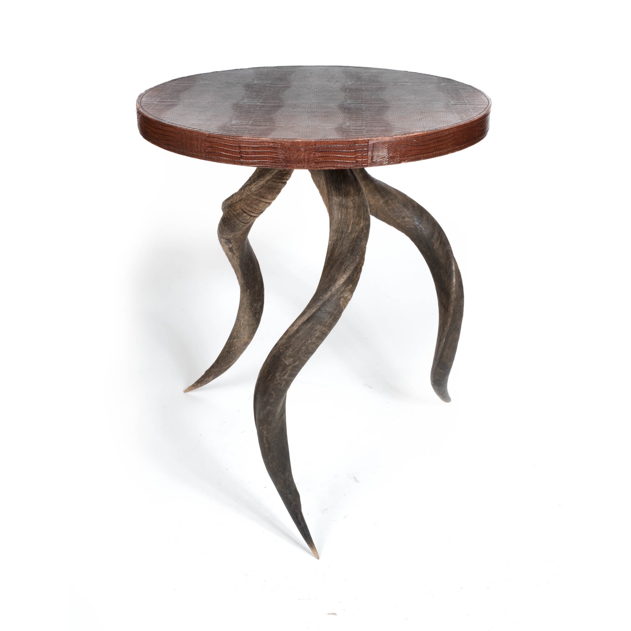 Natural Kudu Horn Table