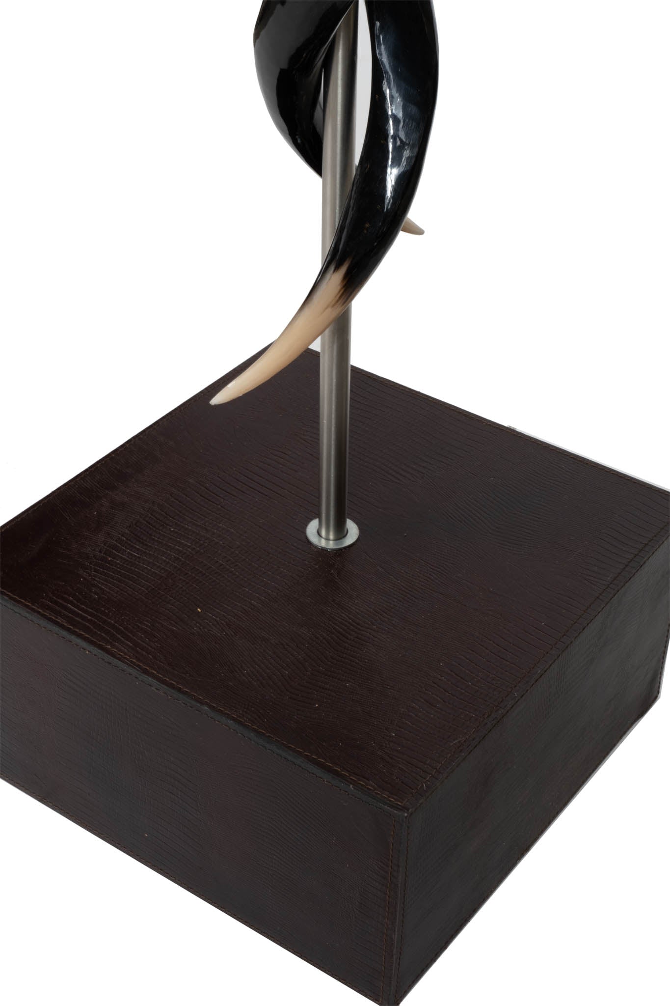 Polished Kudu Horn Double Twist Floor Lamp