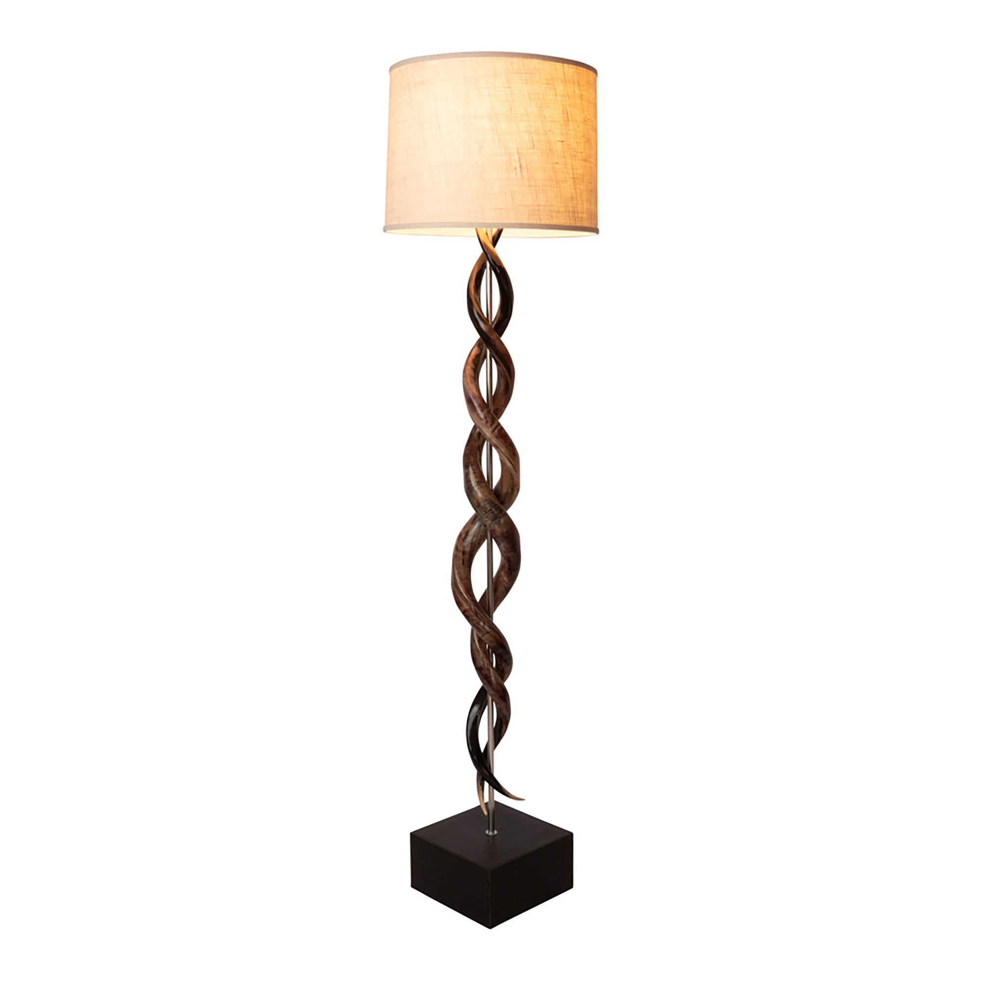 Polished Kudu Horn Double Twist Floor Lamp