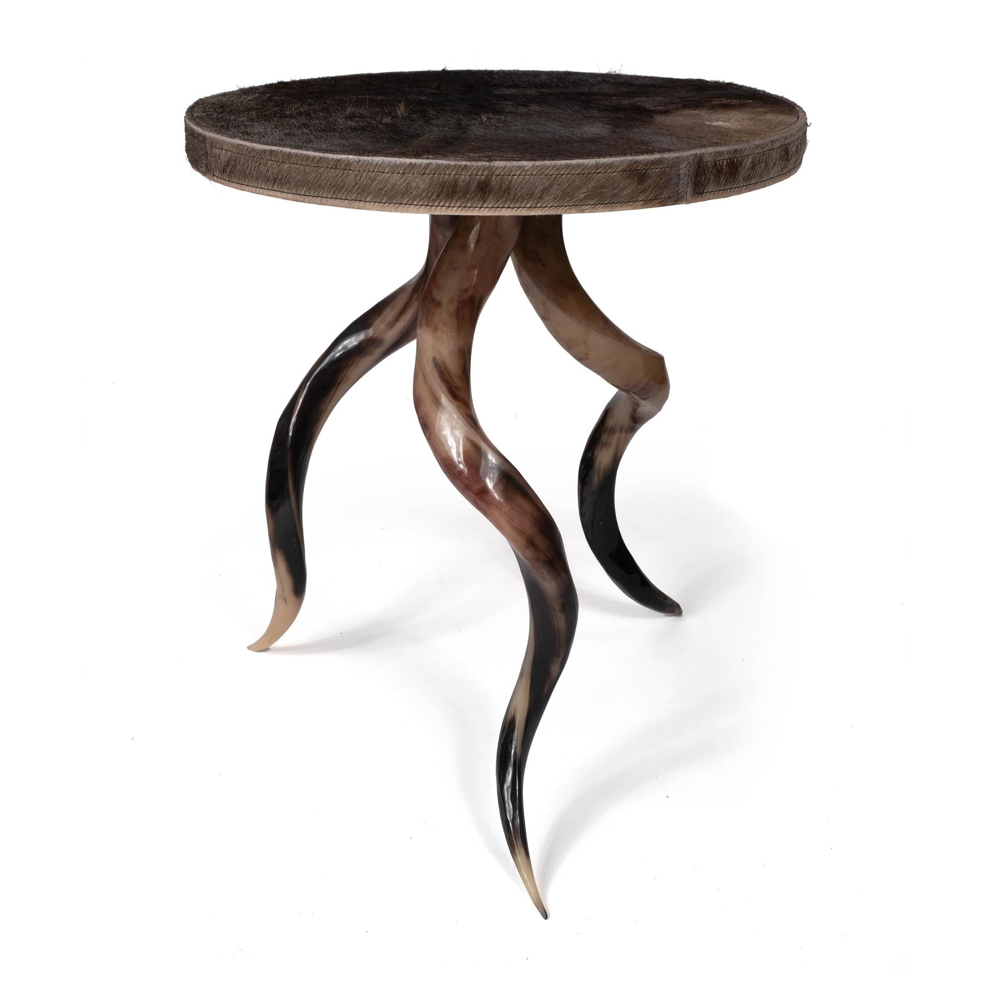 Polished Kudu Horn Table