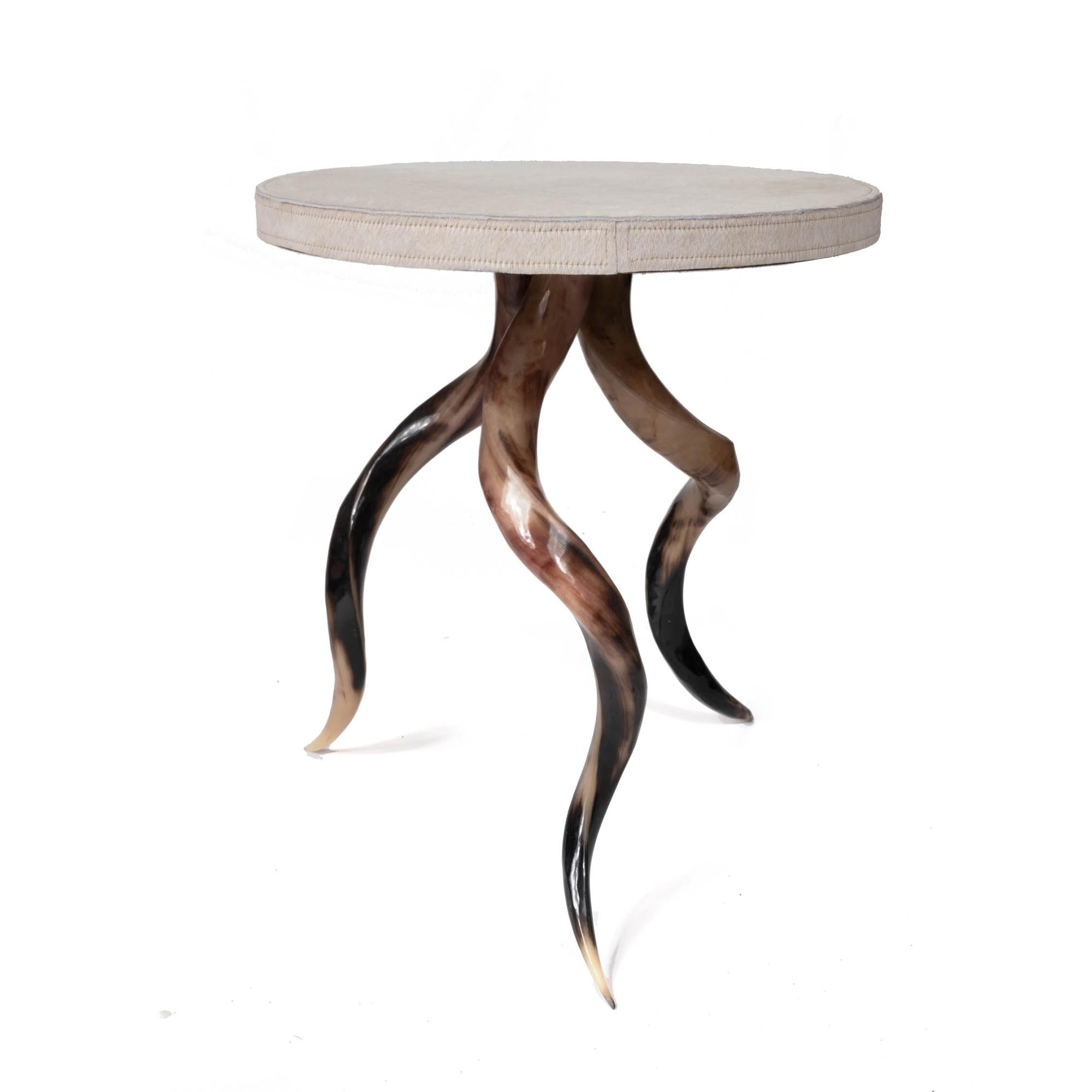 Polished Kudu Horn Table