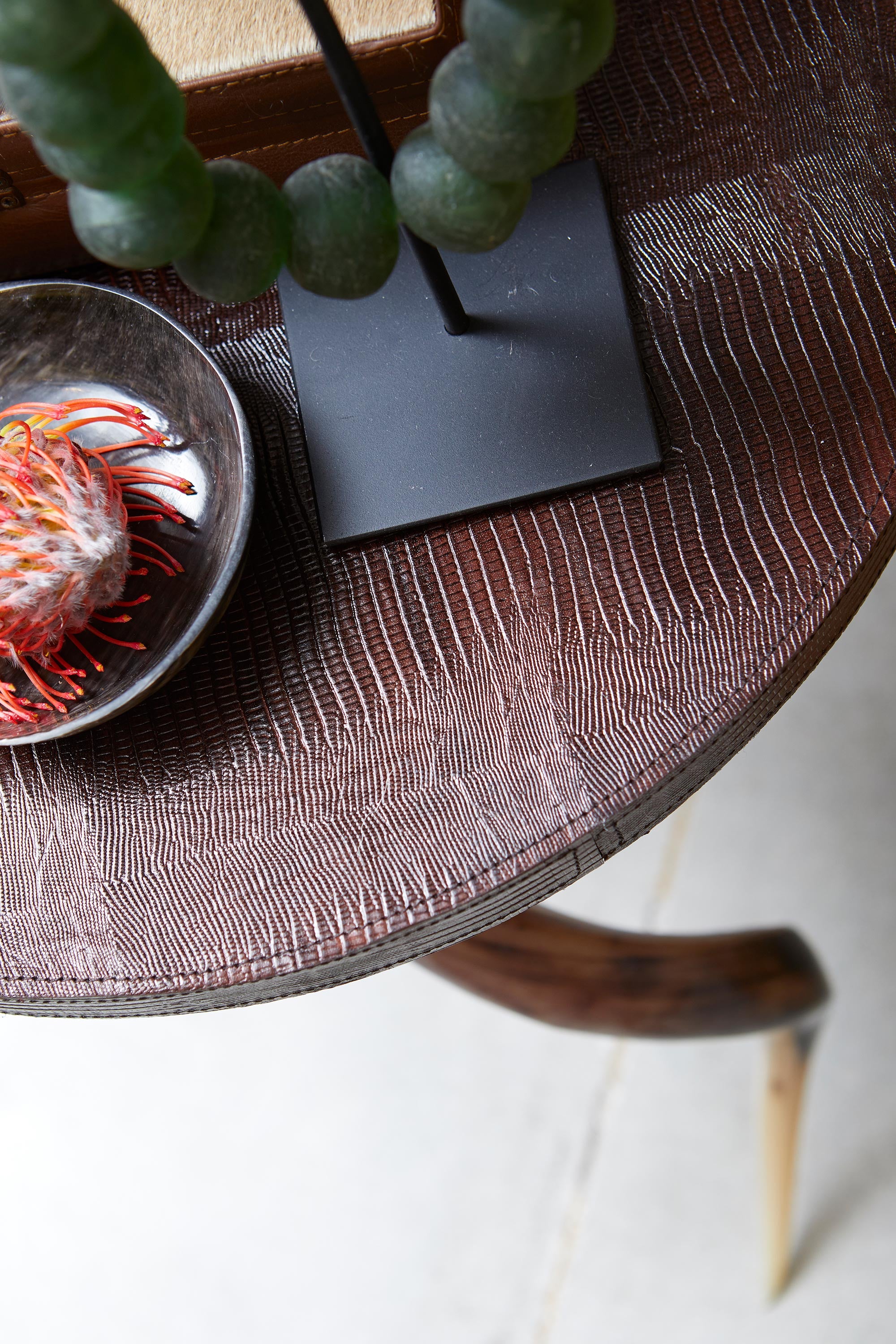 Polished Kudu Horn Table