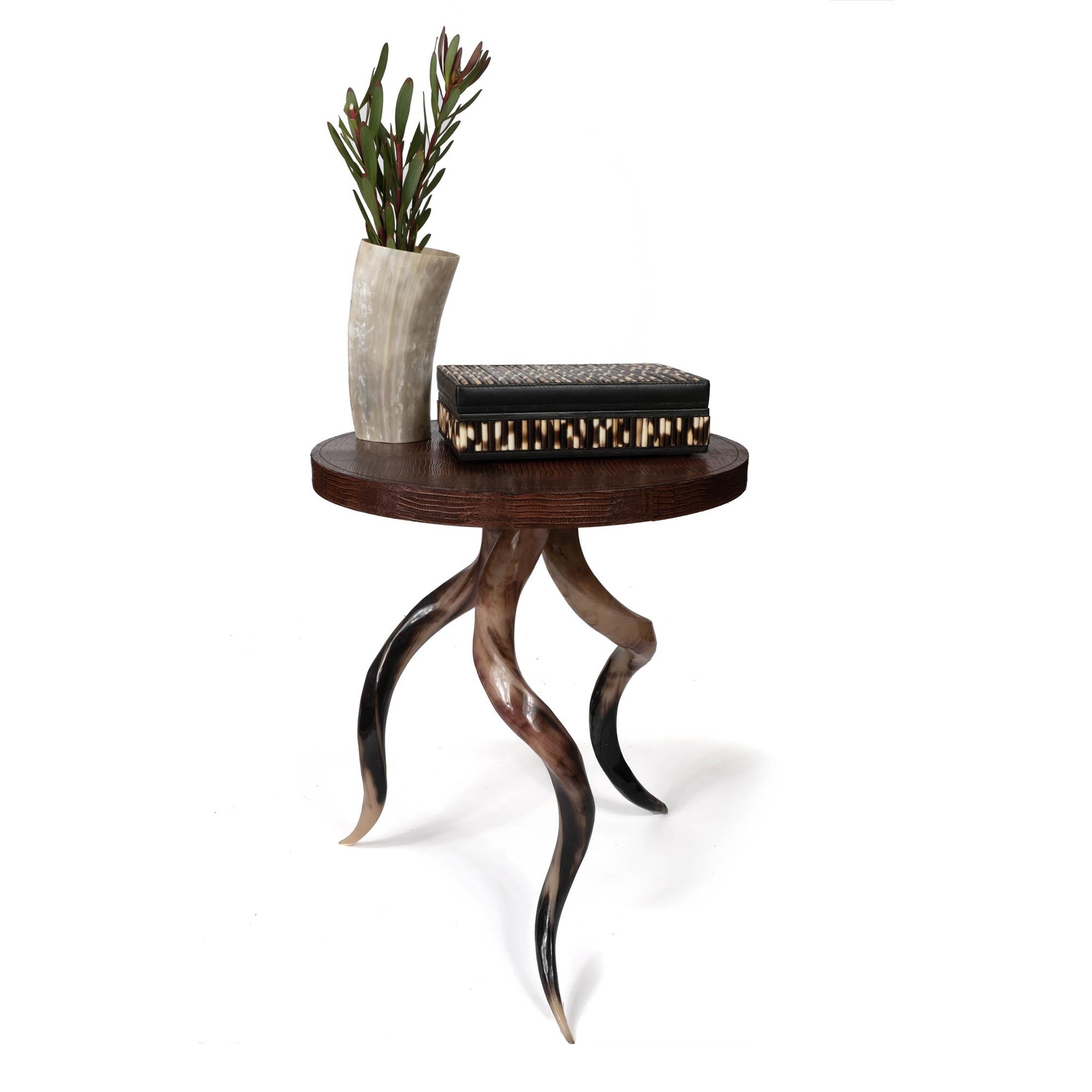 Polished Kudu Horn Table