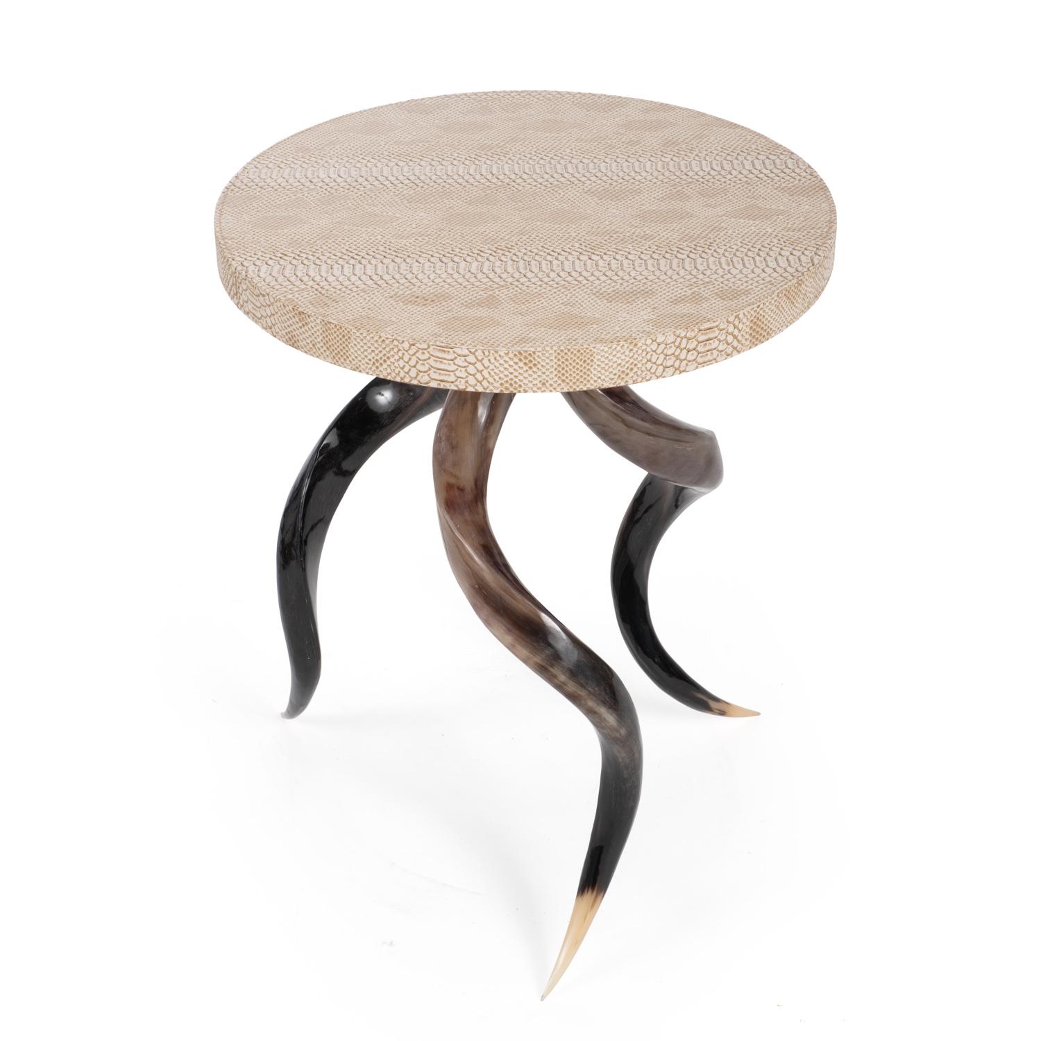 Polished Kudu Horn Table