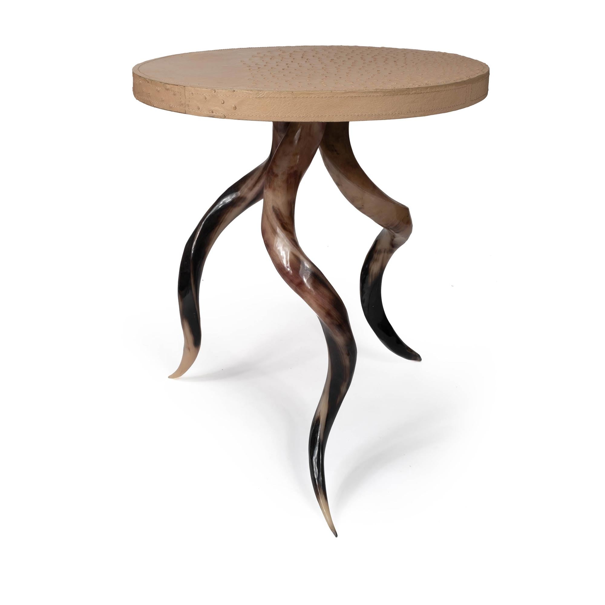 Polished Kudu Horn Table