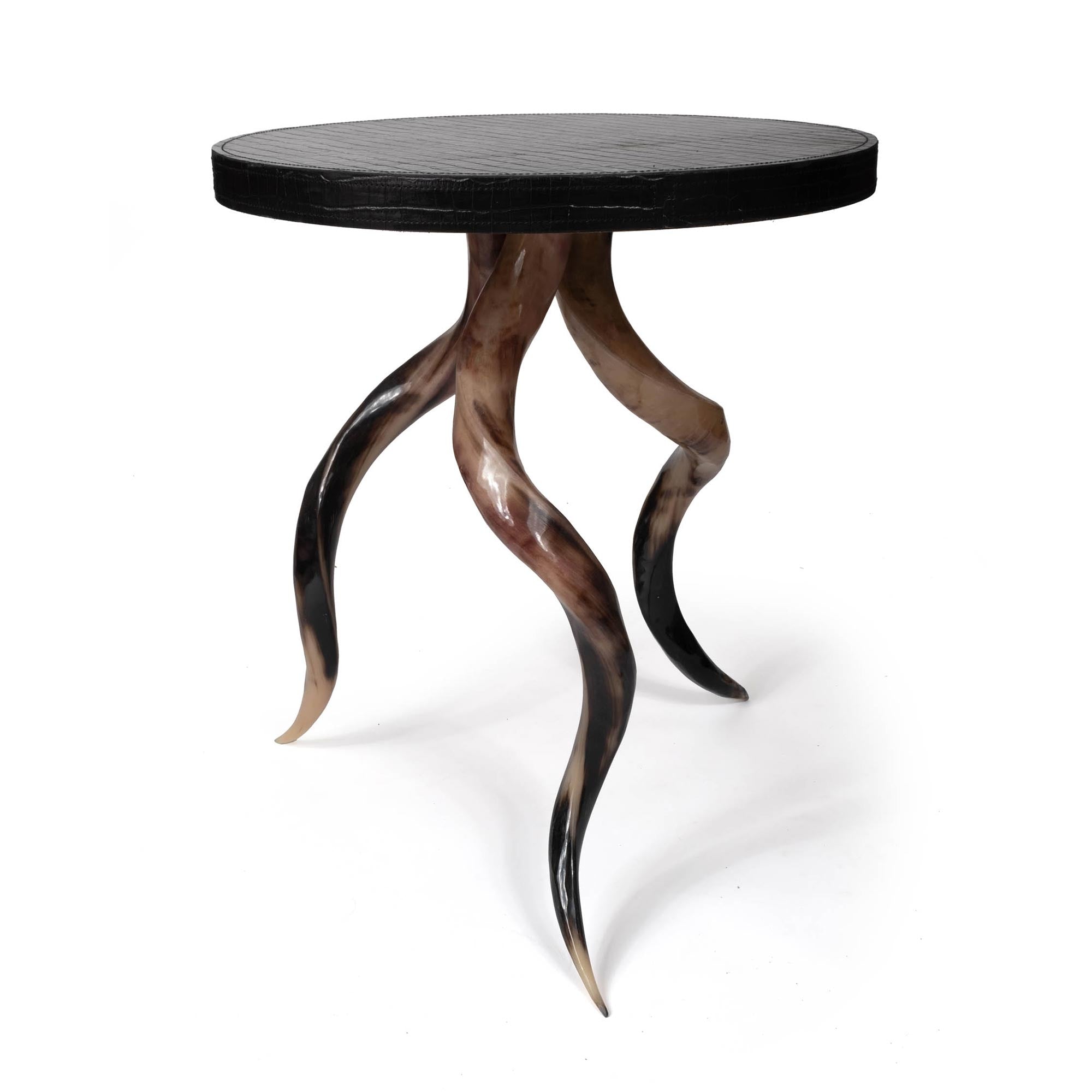 Polished Kudu Horn Table