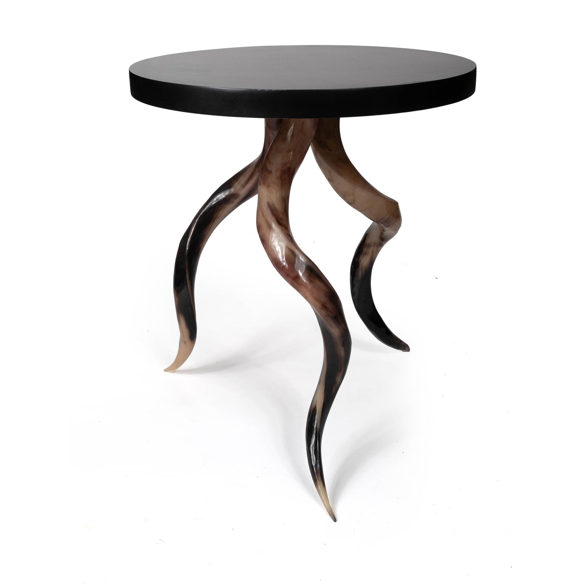 Polished Kudu Horn Table