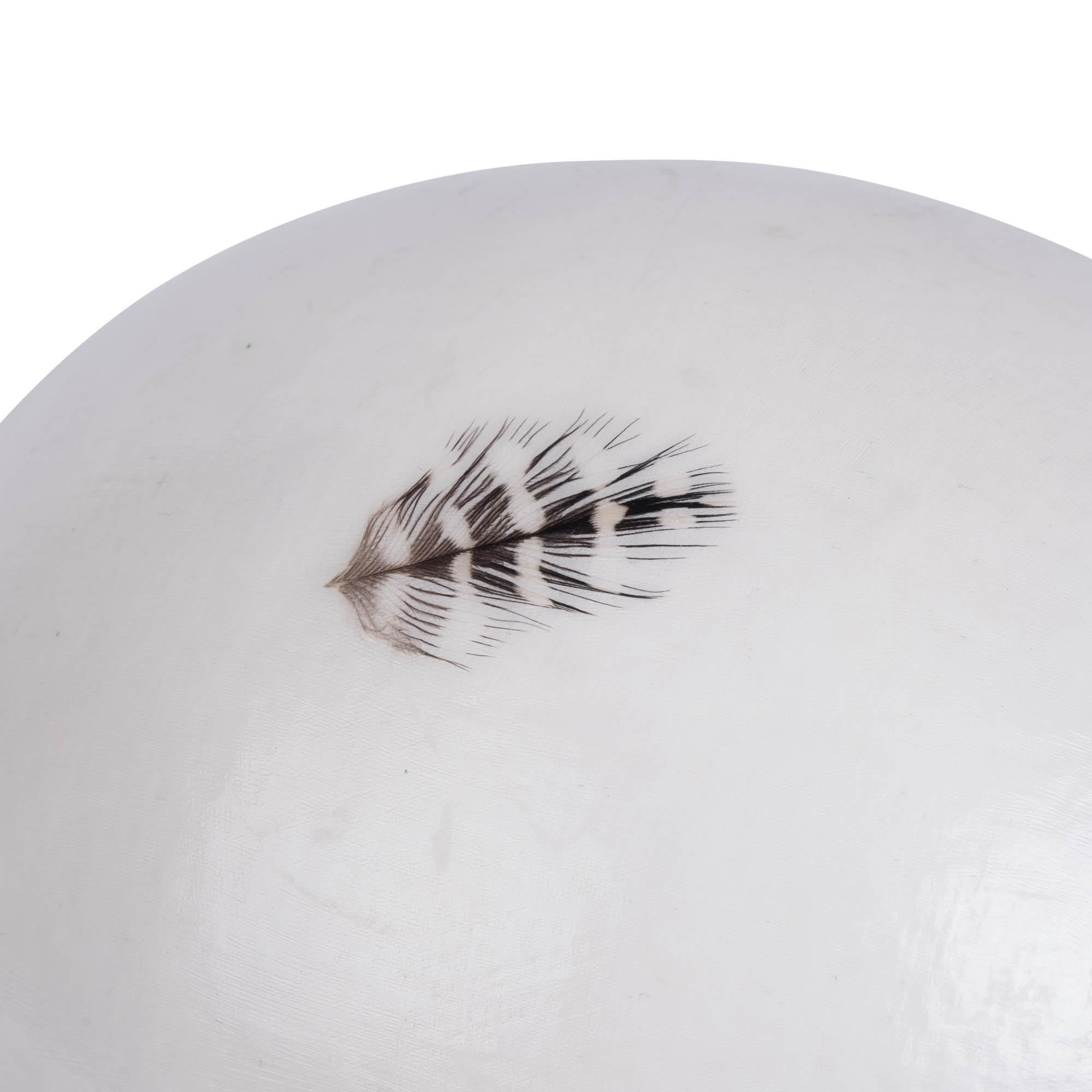 Painted Ostrich Egg - White Feathers