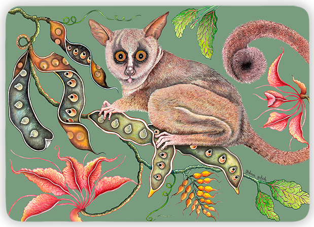 Camp Critters Bush Baby Placemats (Pair) - Jade