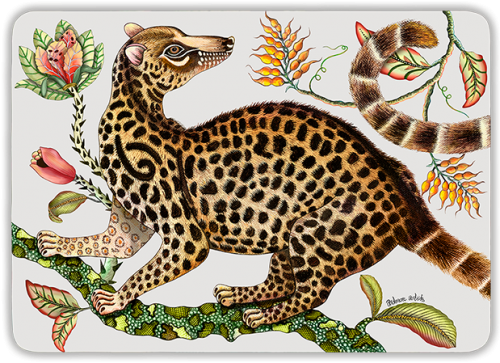 Camp Critters Genet Cat Placemats (Pair) - Chalk