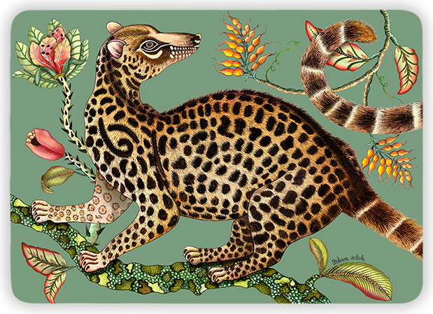 Camp Critters Genet Cat Placemats (Pair) - Jade