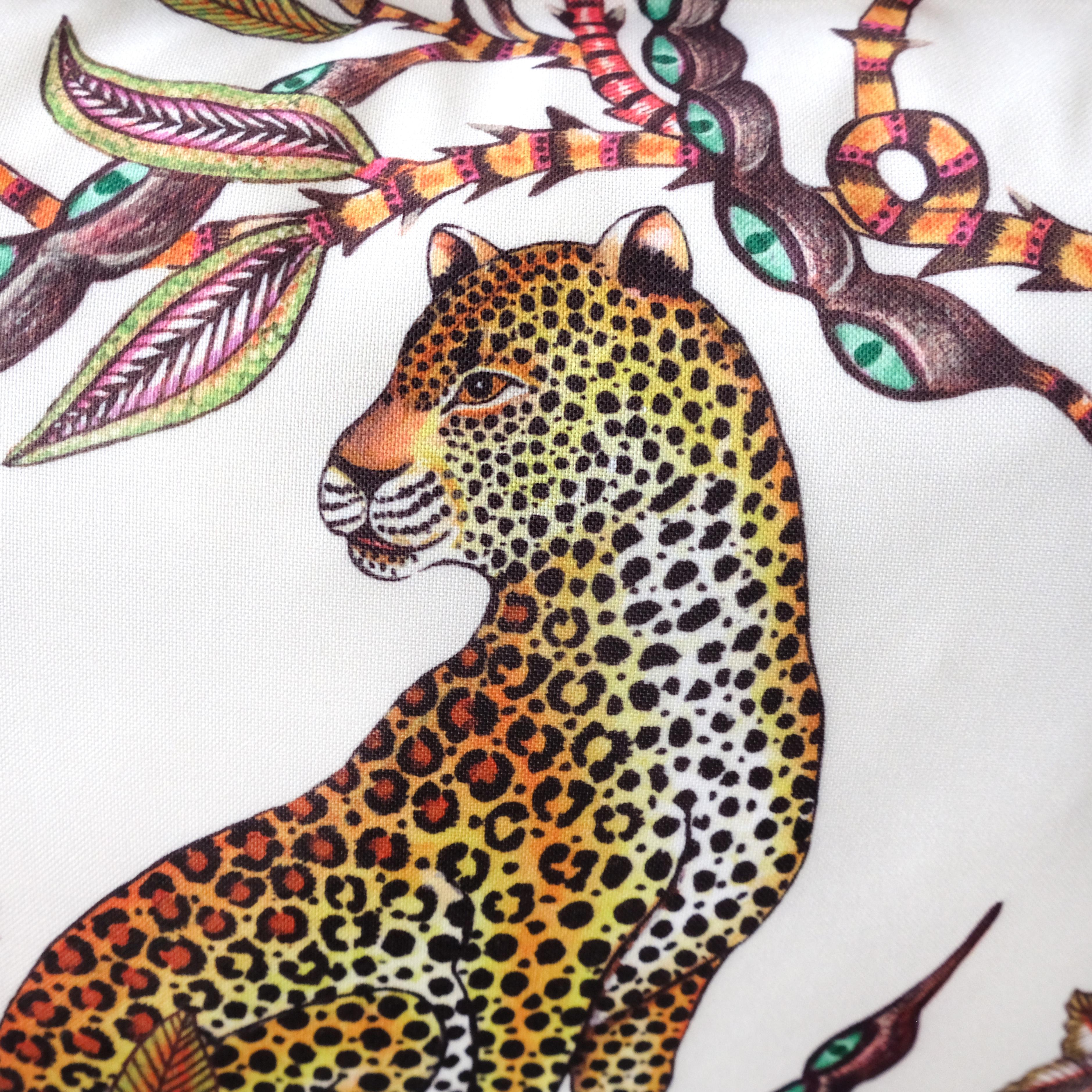 Monkey Bean - Solaris - Parakeet