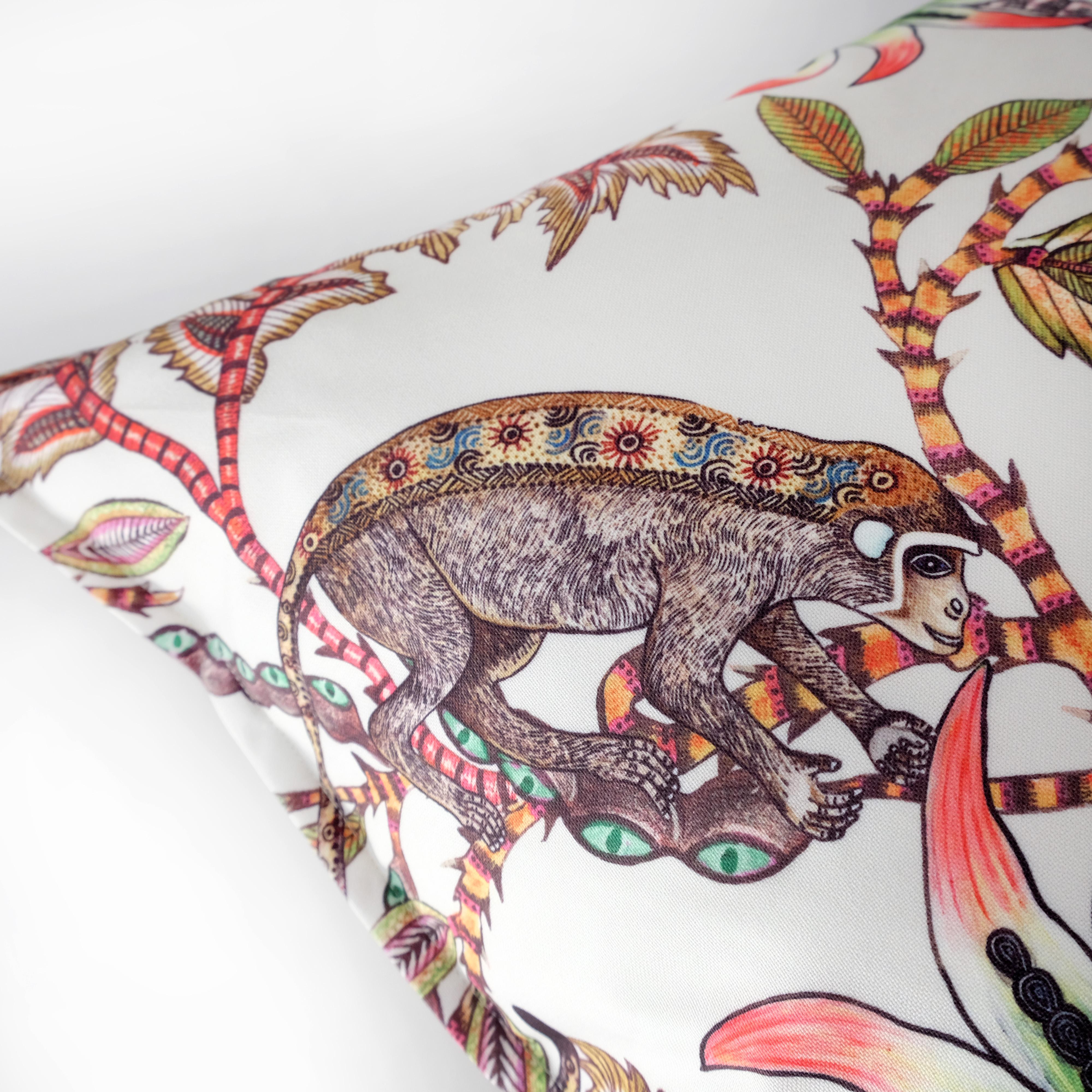 Monkey Bean - Solaris - Parakeet