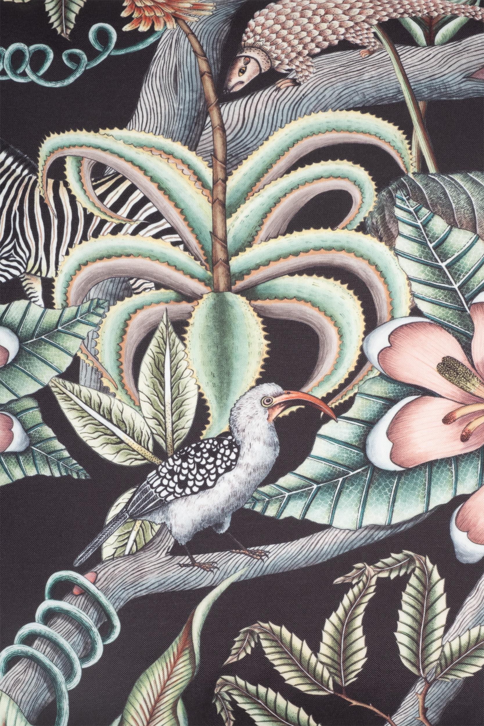 Pangolin Park - Solaris - Night