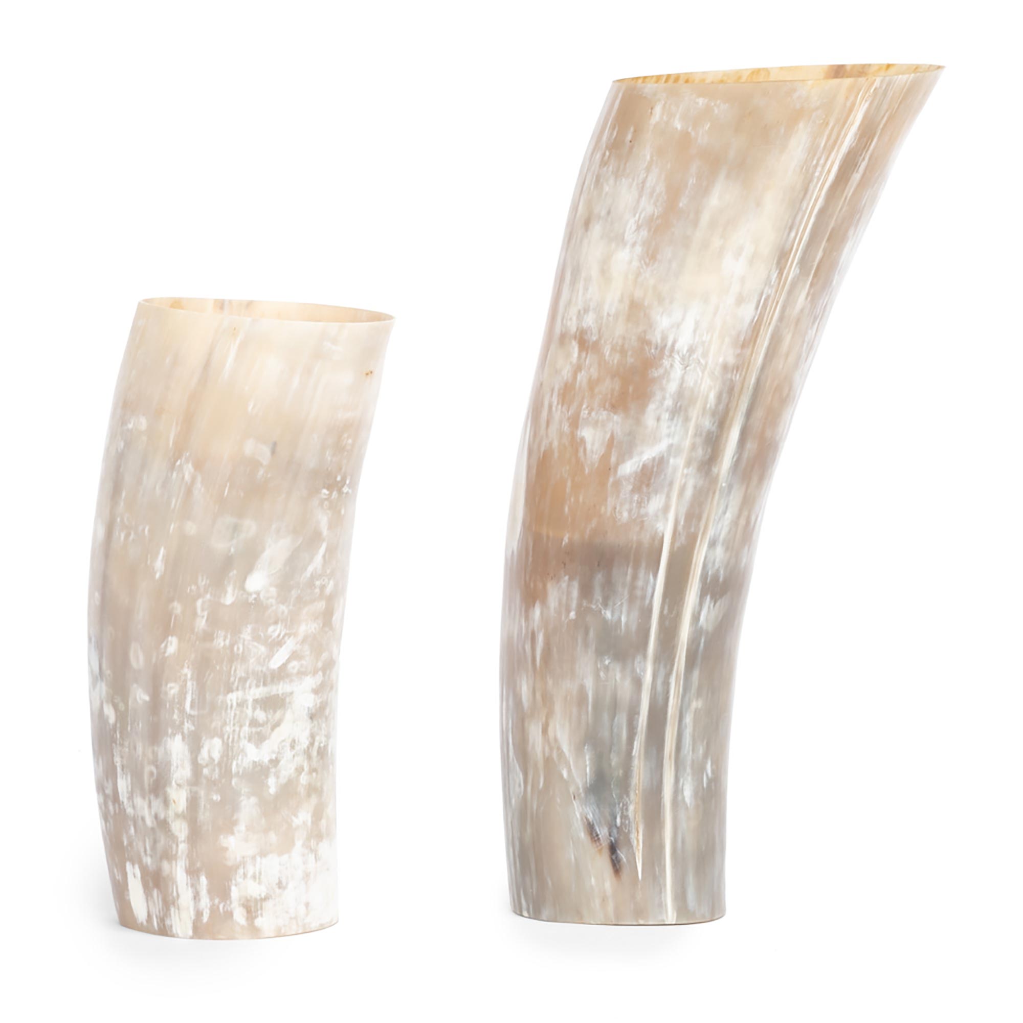 Cow Horn Vase - 8"