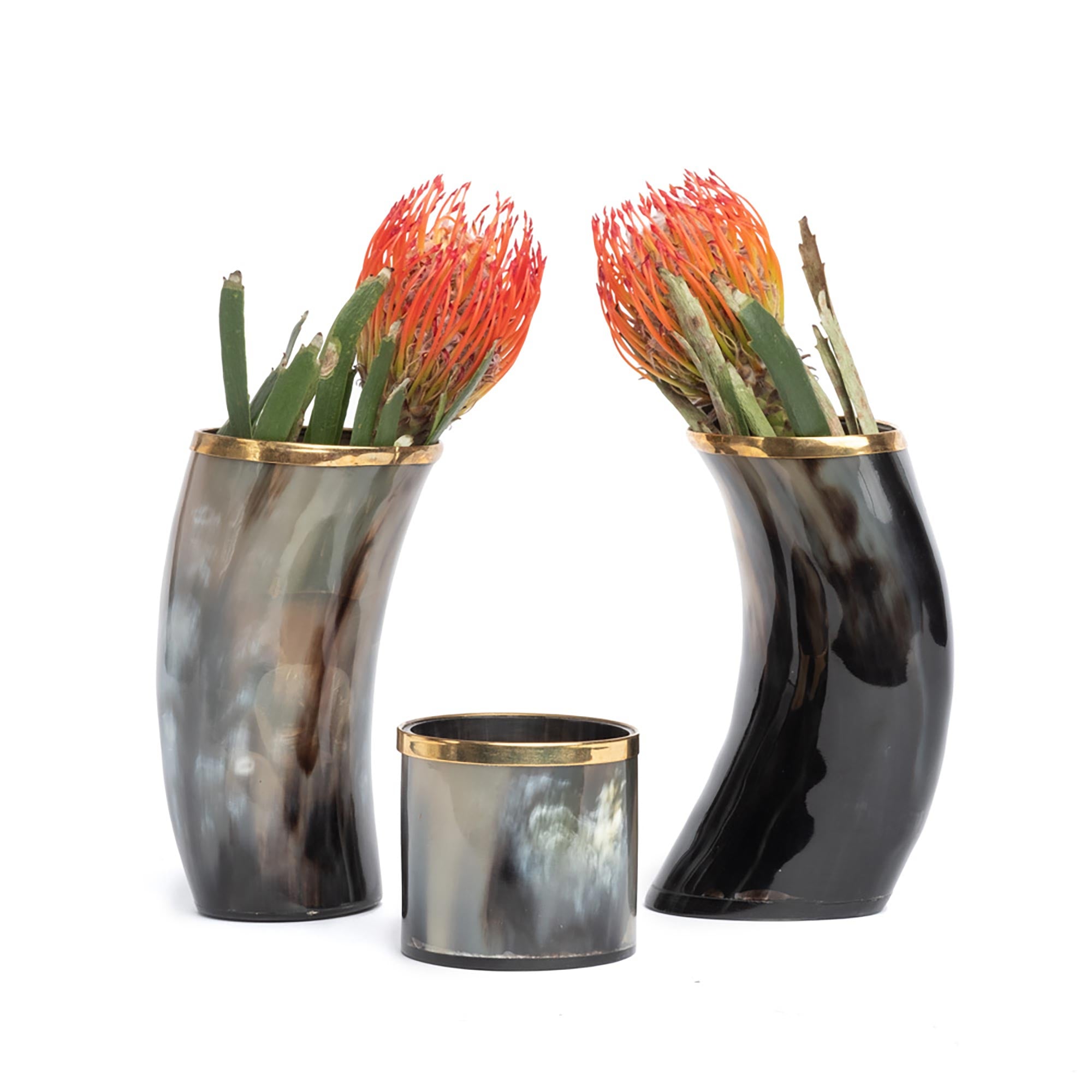Cow Horn Votive w/ Gold Trim
