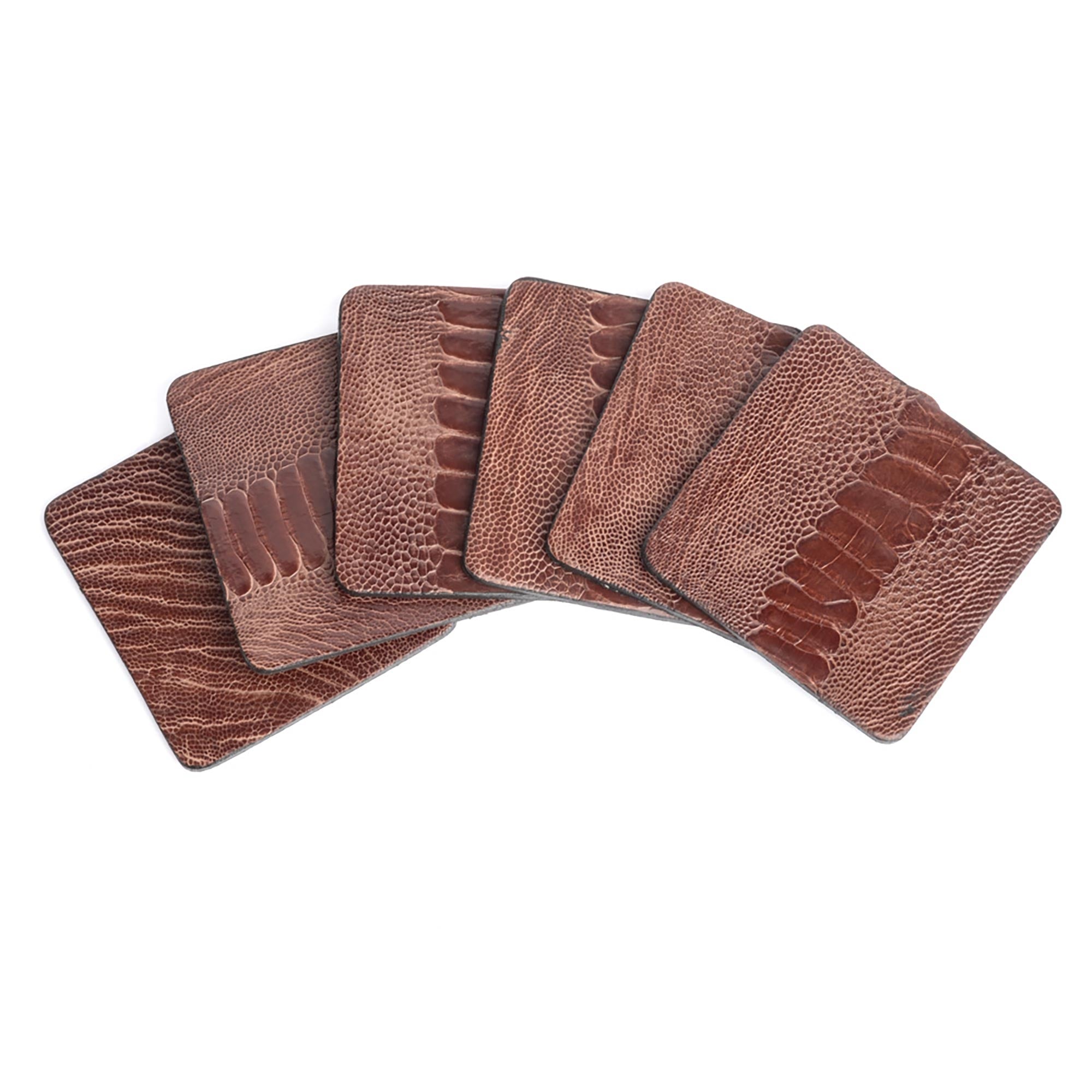 Ostrich Shin Coasters w/ Tie (s/6) - Brown