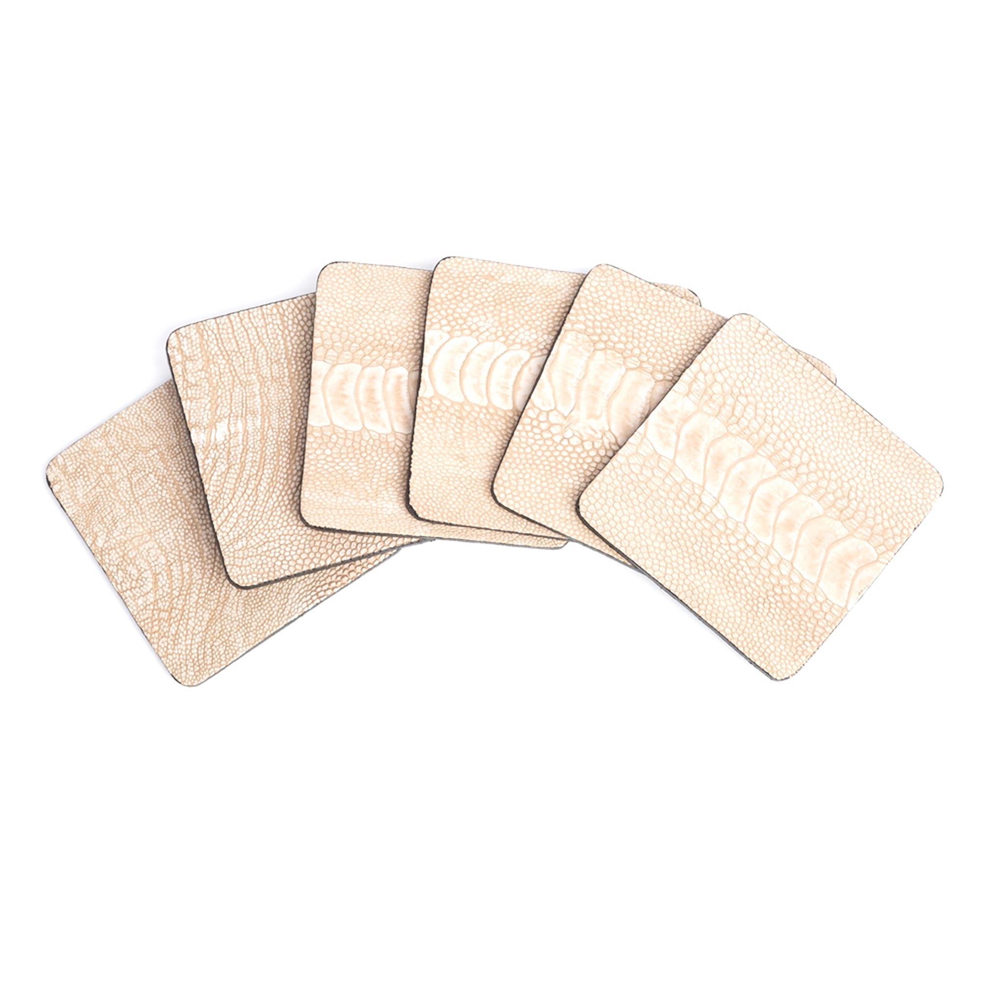 Ostrich Shin Coasters w/ Tie (s/6) - Stone Washed