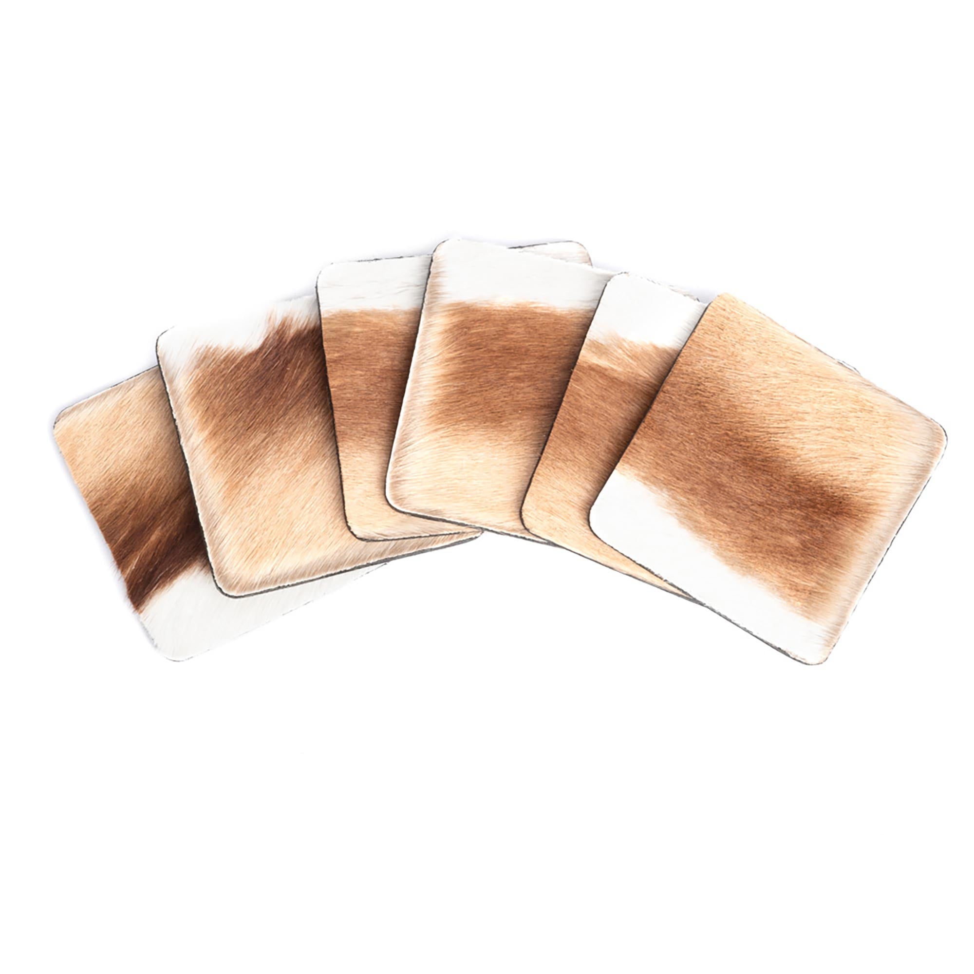 Springbok Hide Coasters w/ Tie (s/6)