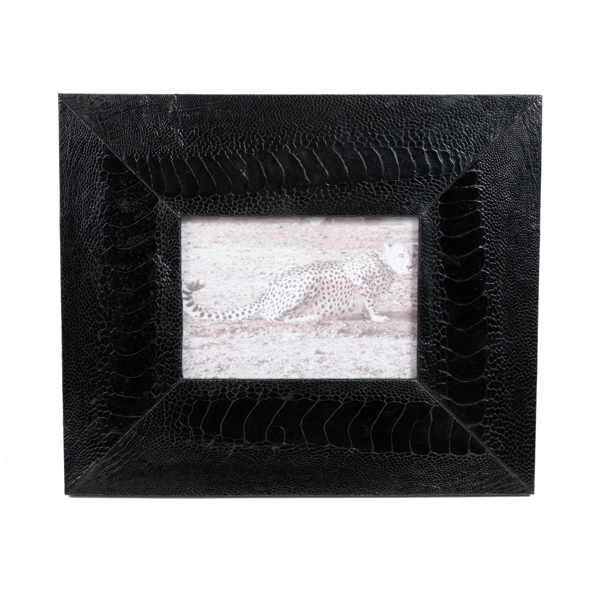 Ostrich Shin Leather Photo Frame - Black