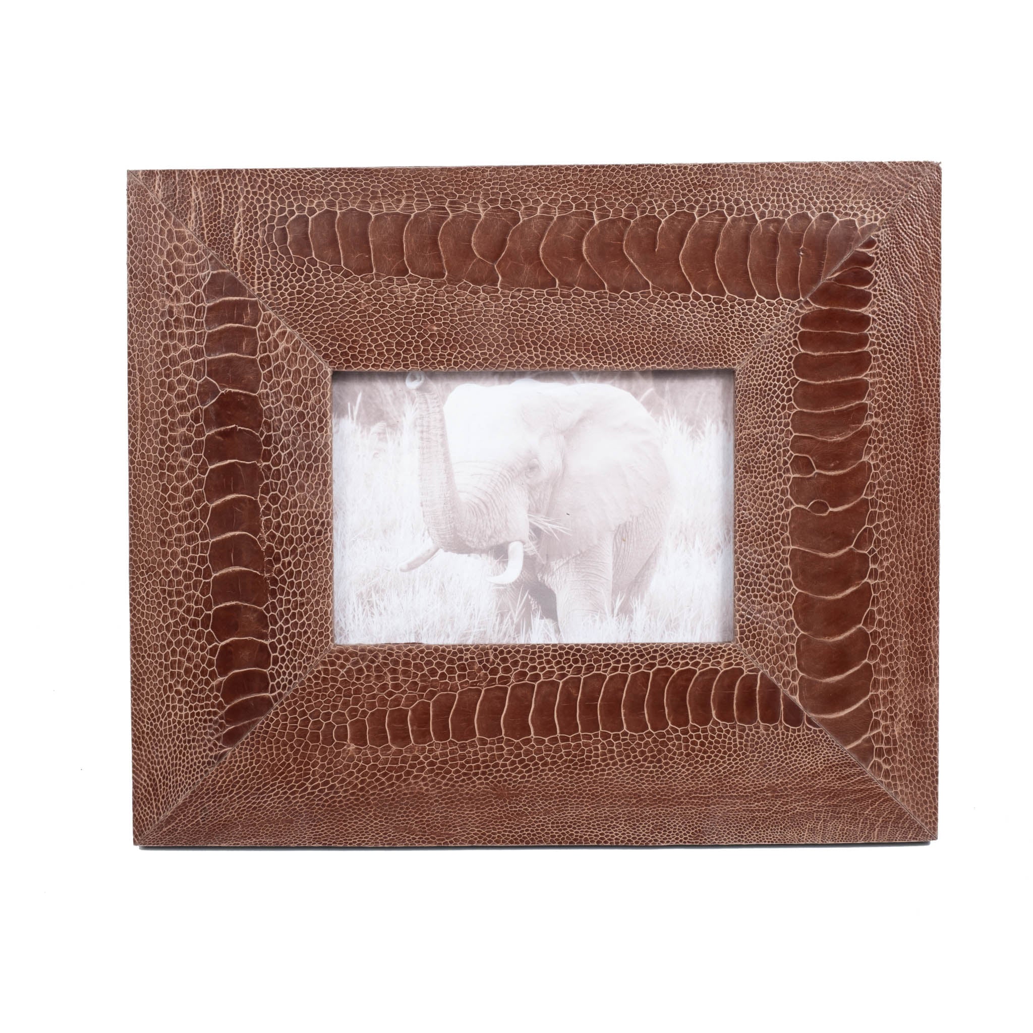 Ostrich Shin Leather Photo Frame - Brown