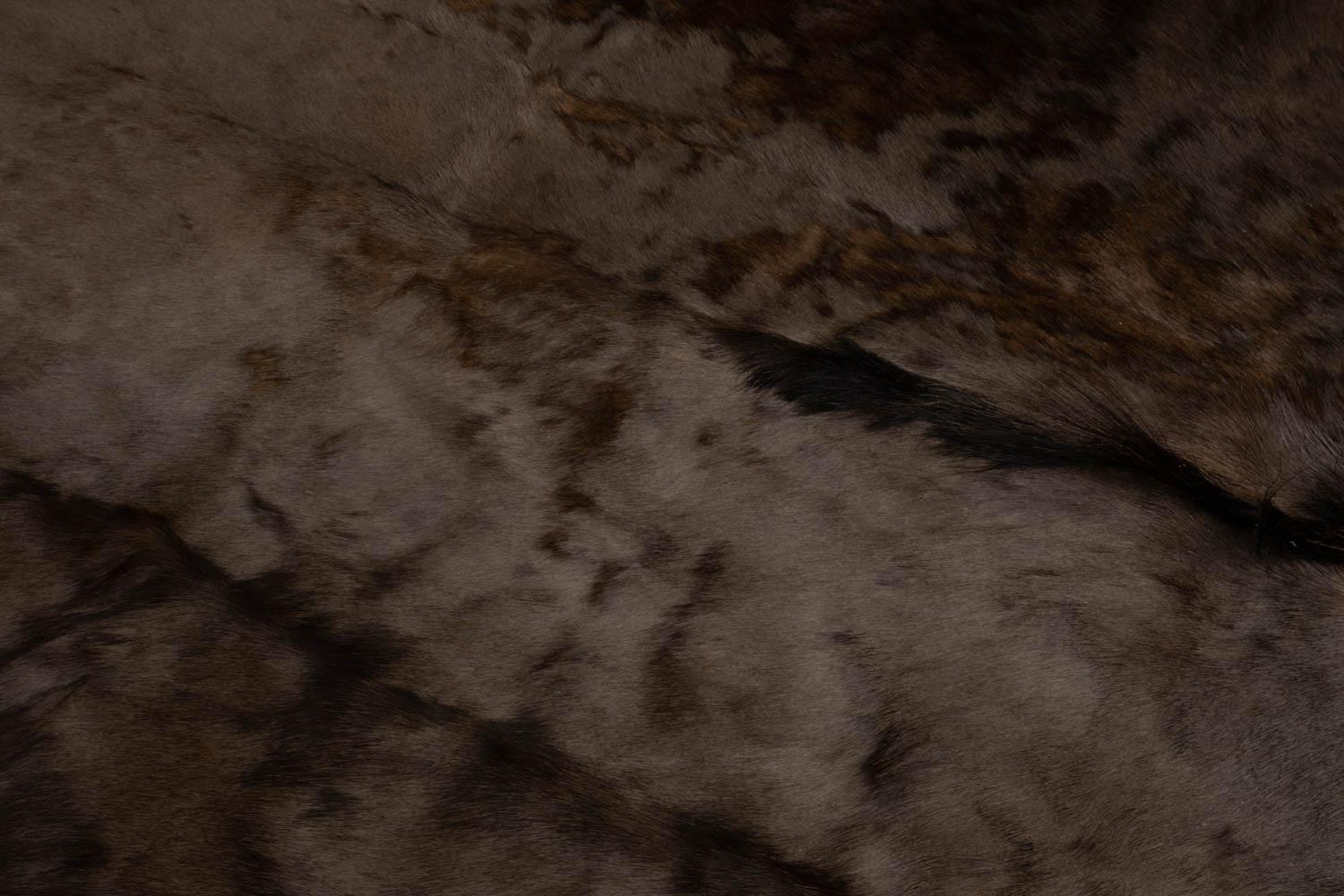 Wildebeest Hide