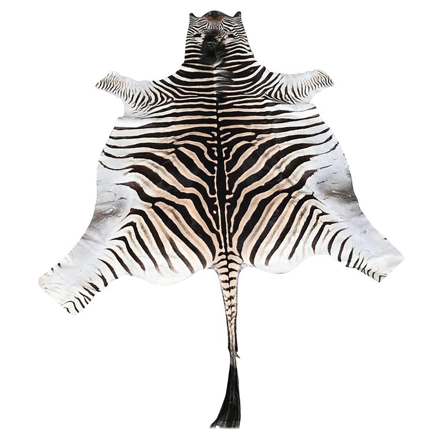 Zebra Hide