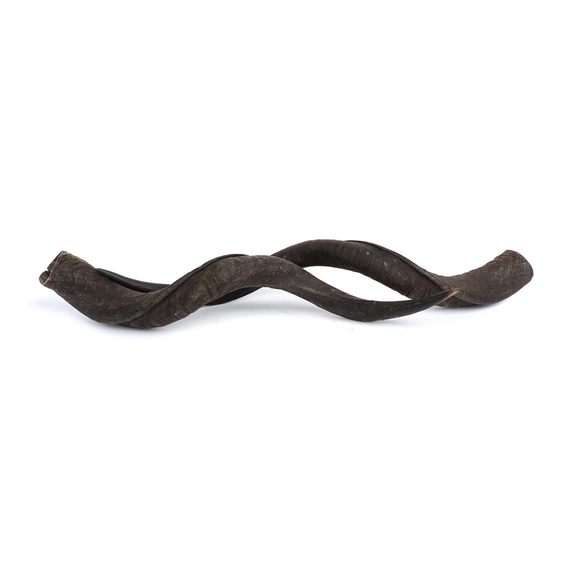 Natural Kudu Horn