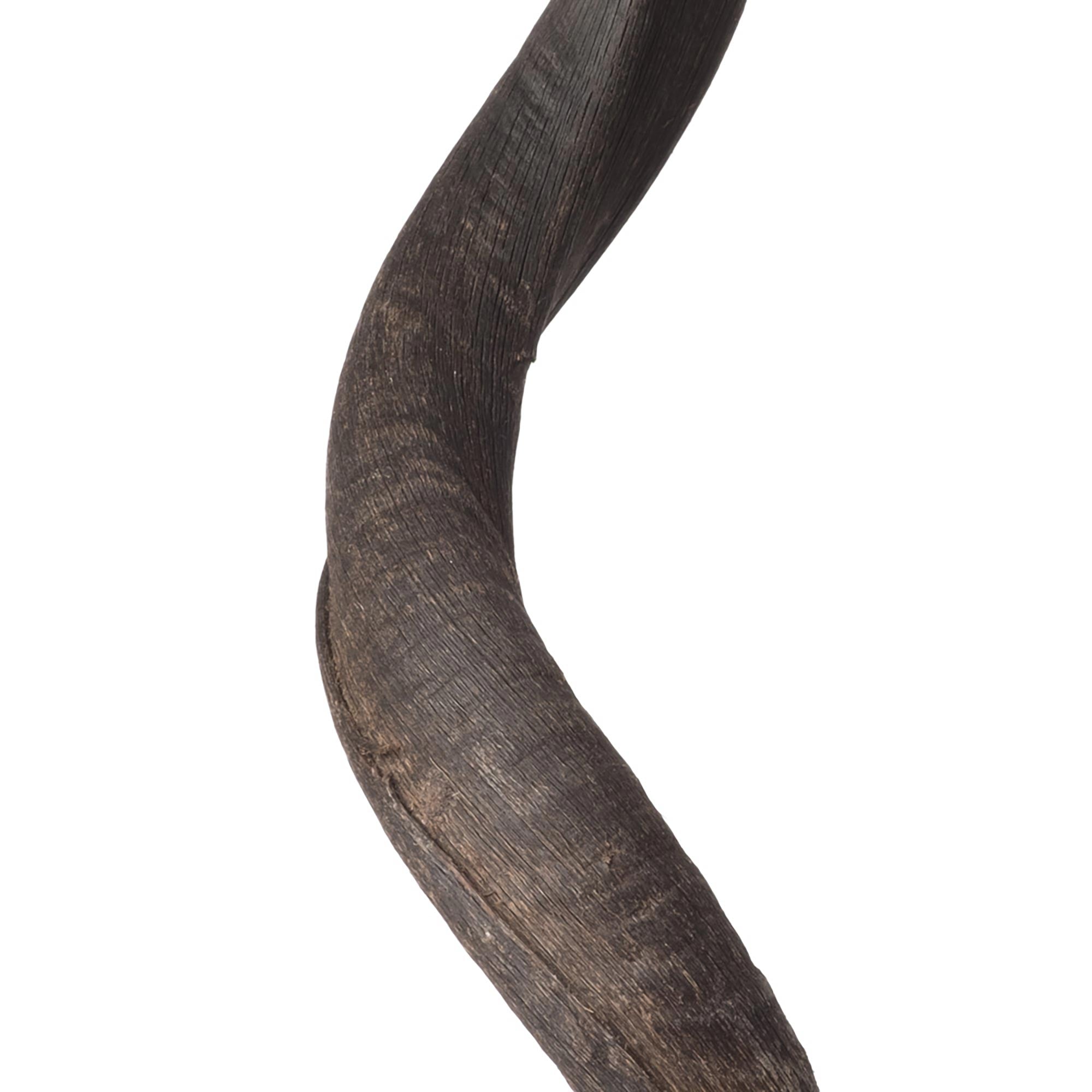 Mounted Natural Kudu Horn