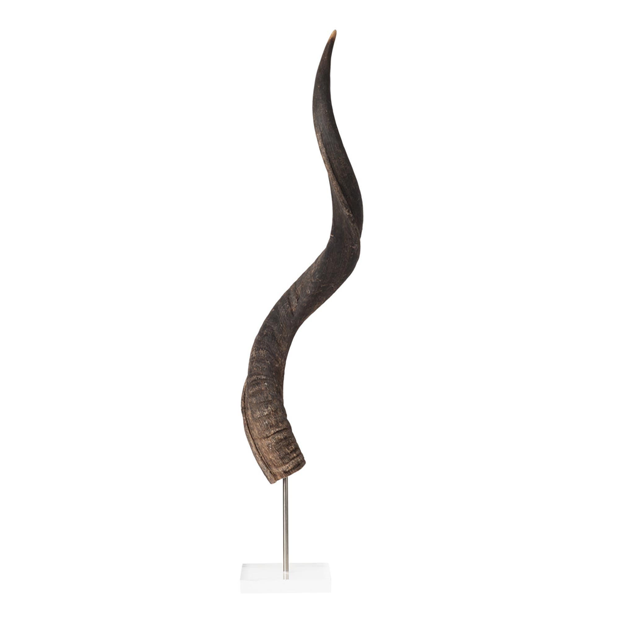 Mounted Natural Kudu Horn