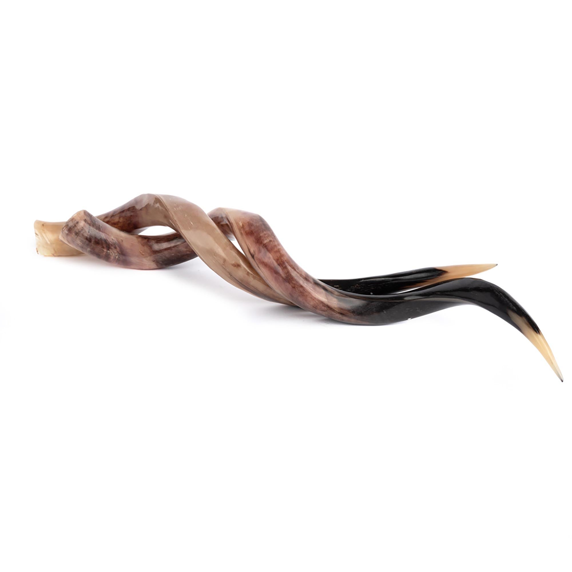 Polished Kudu Horn