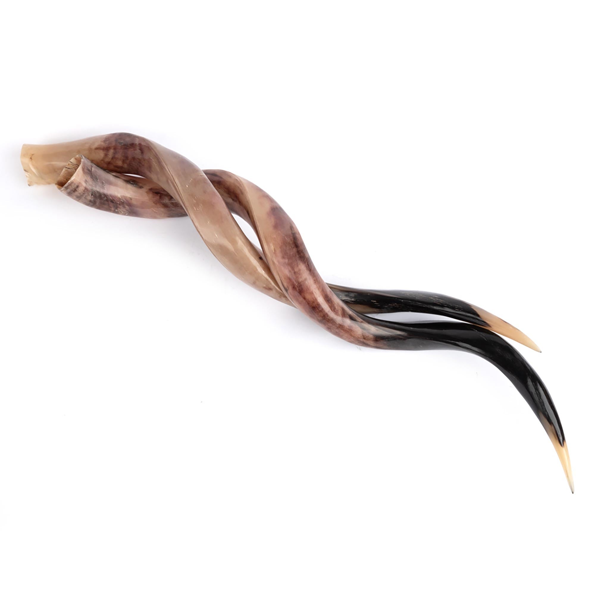 Polished Kudu Horn