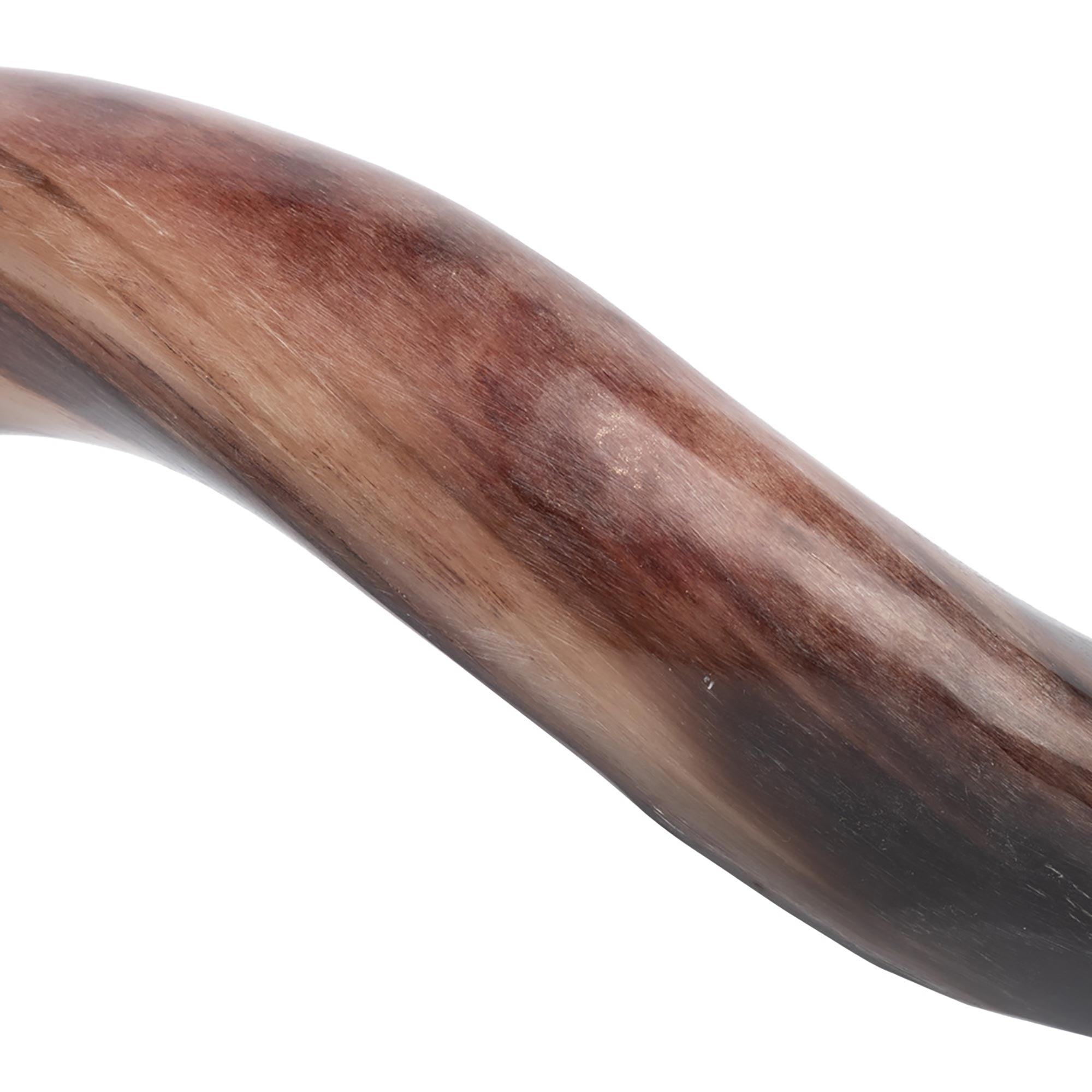 Polished Kudu Horn