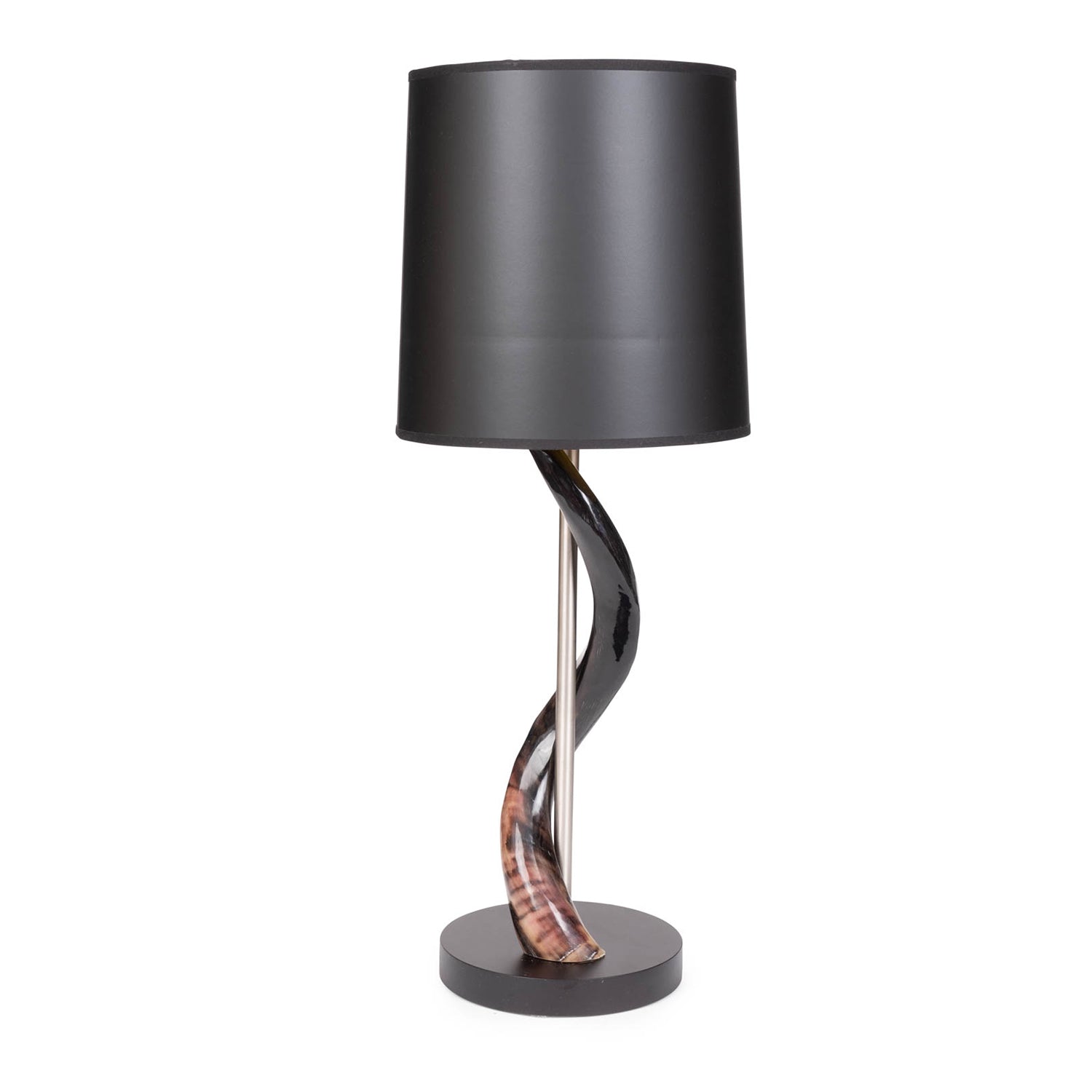 Polished Kudu Horn Table Lamp
