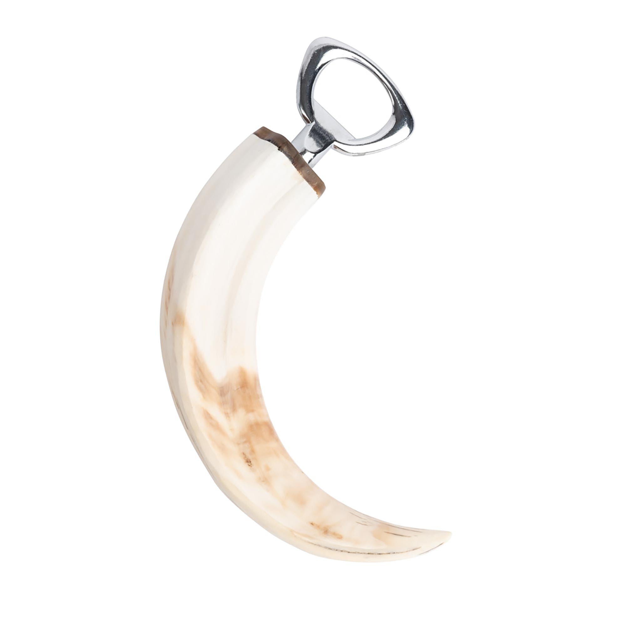 Warthog Tusk Bottle Opener