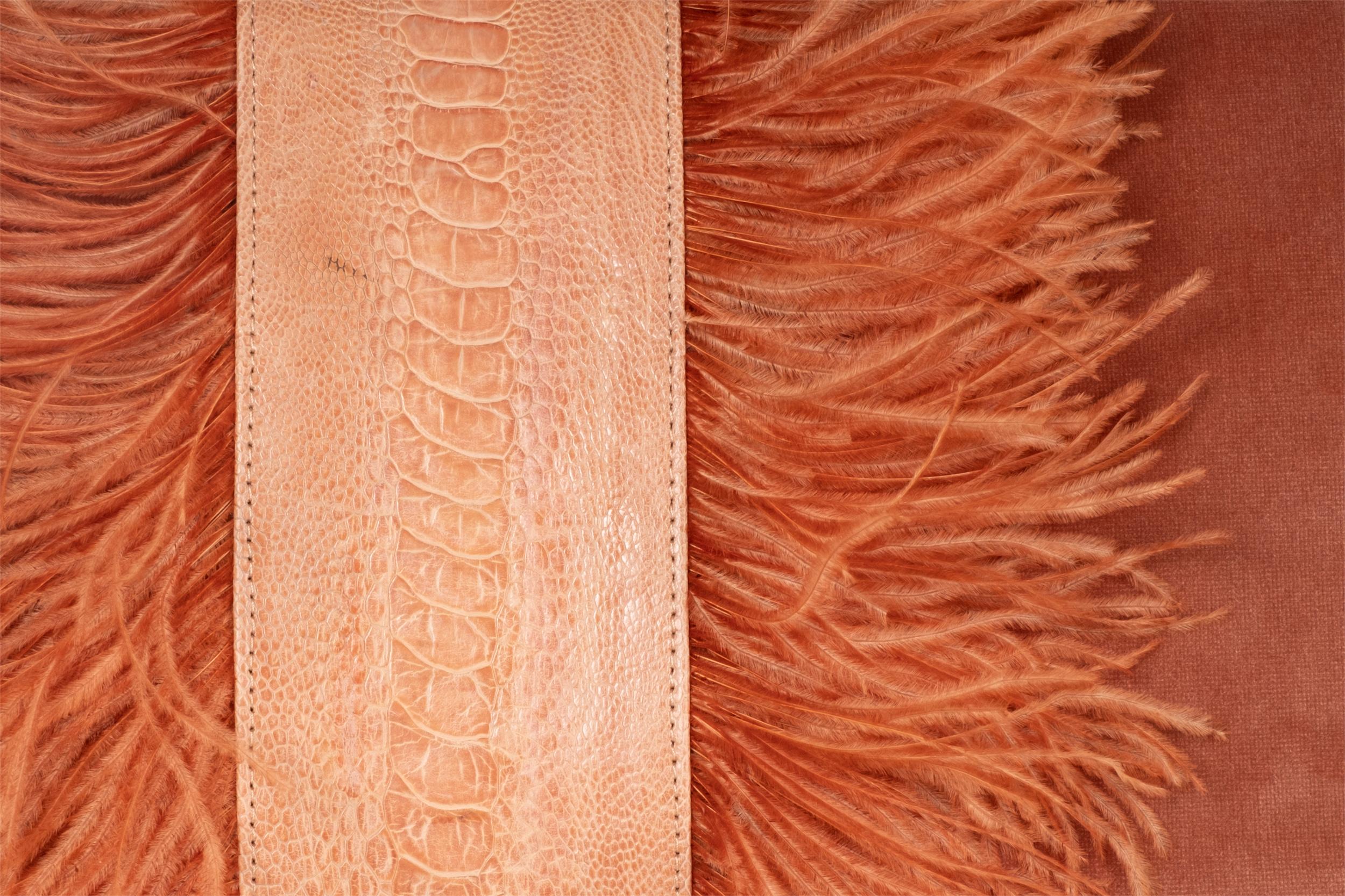 Ostrich Trim Pillow - Peach / Velvet