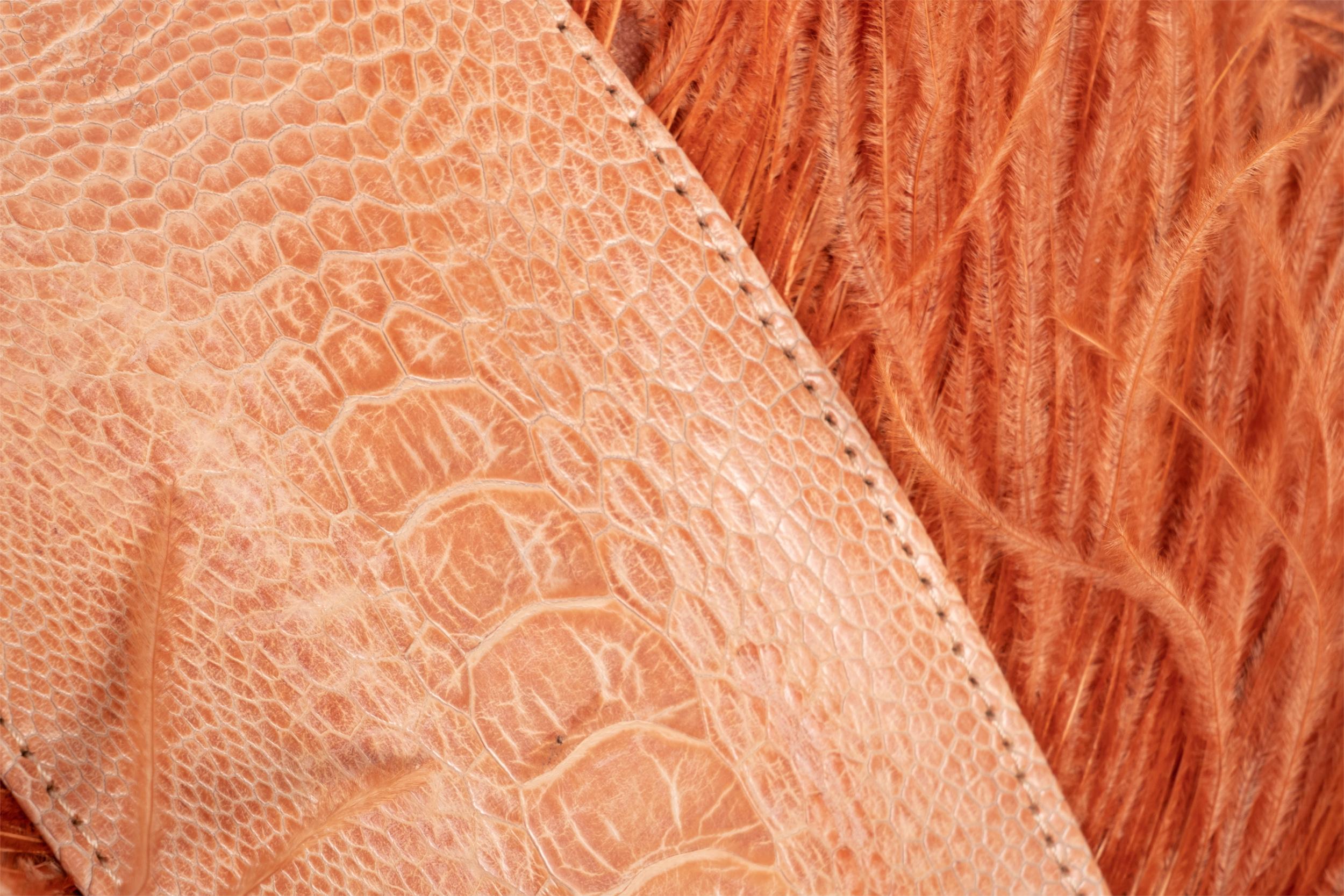 Ostrich Trim Pillow - Peach / Velvet