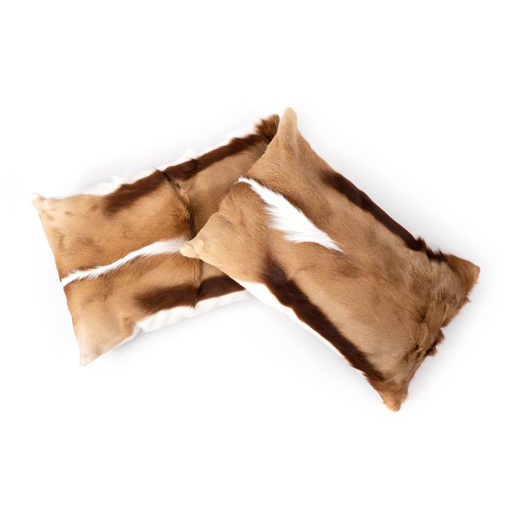 Springbok Hide Pillow