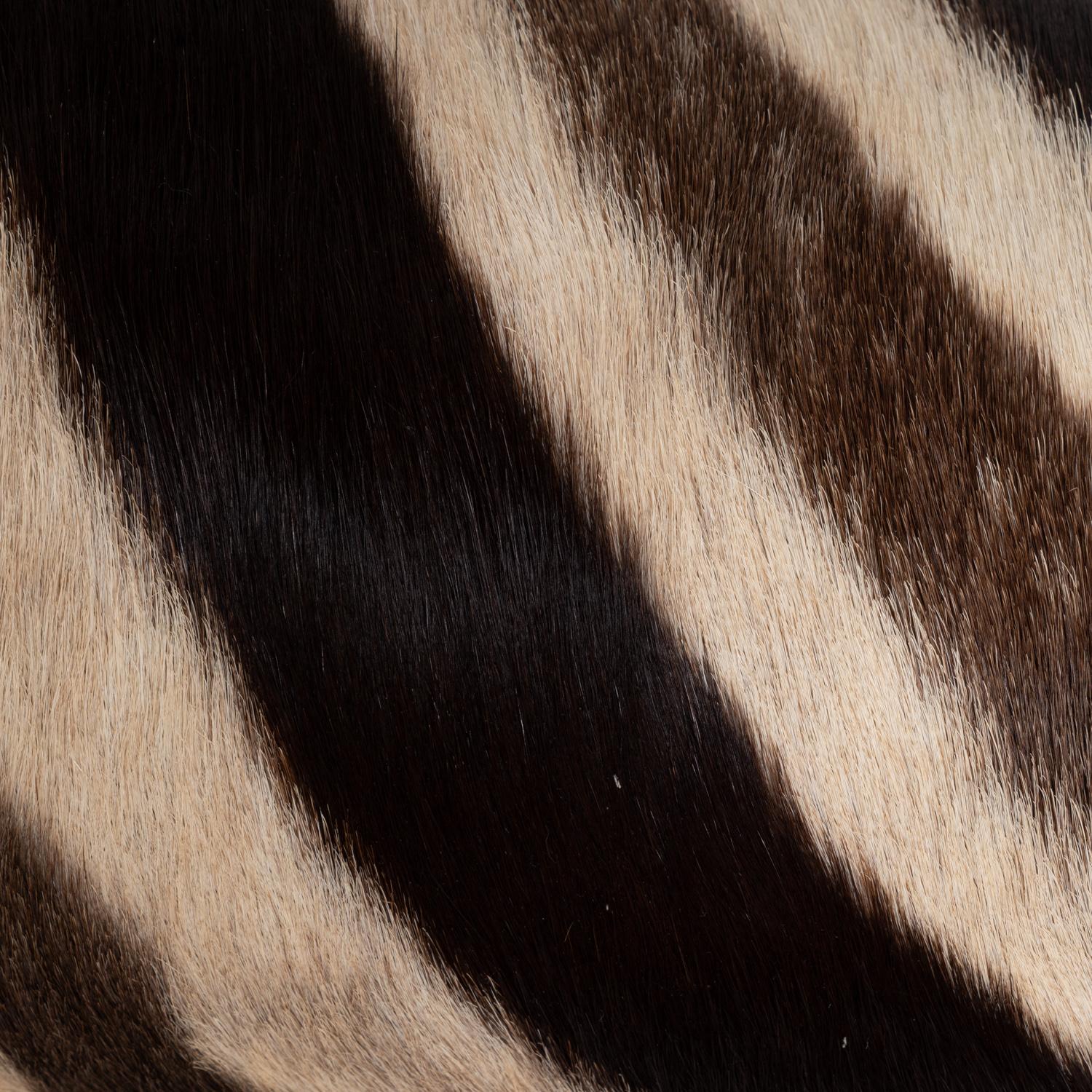 Zebra Hide Bolster Pillow