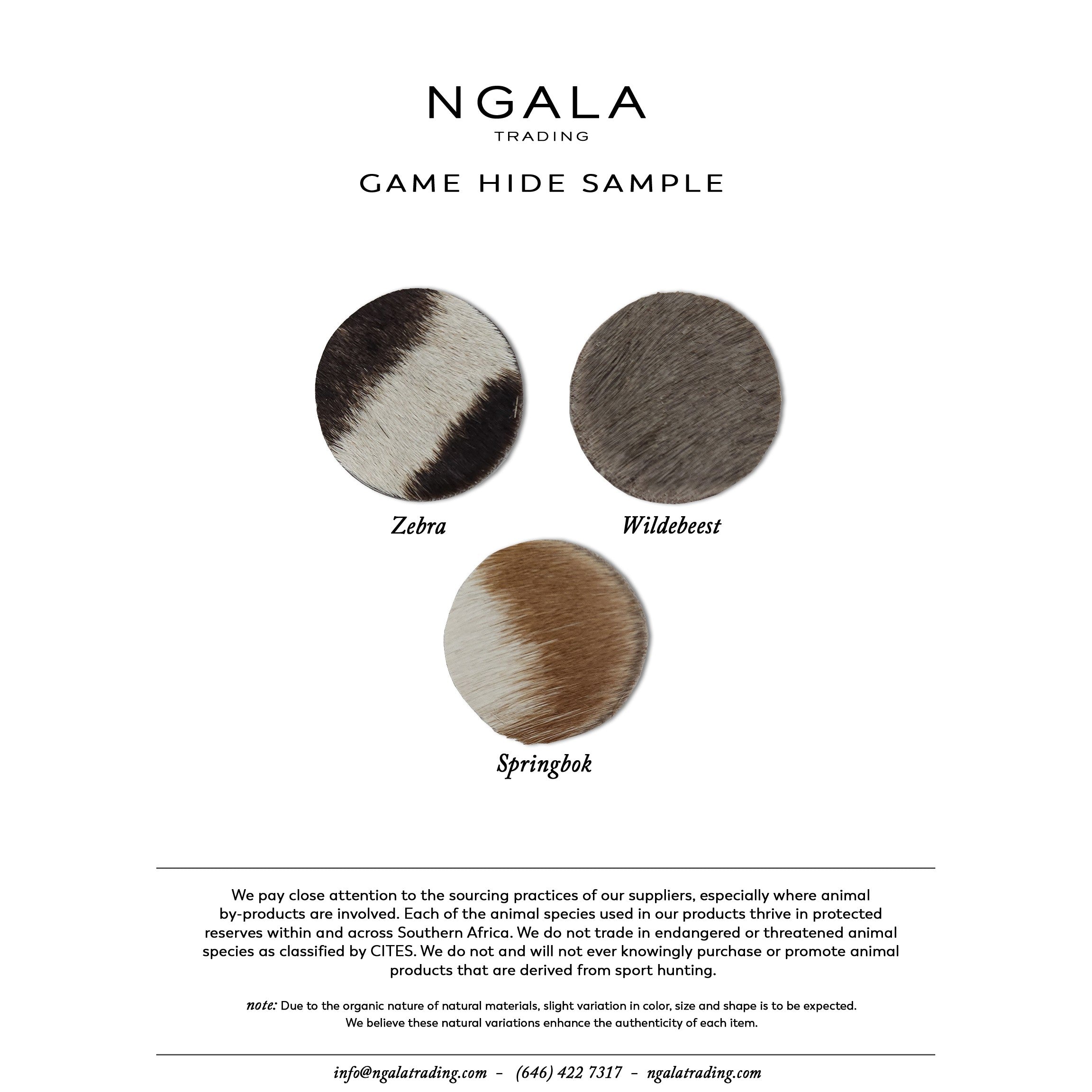 Game Hide Sample