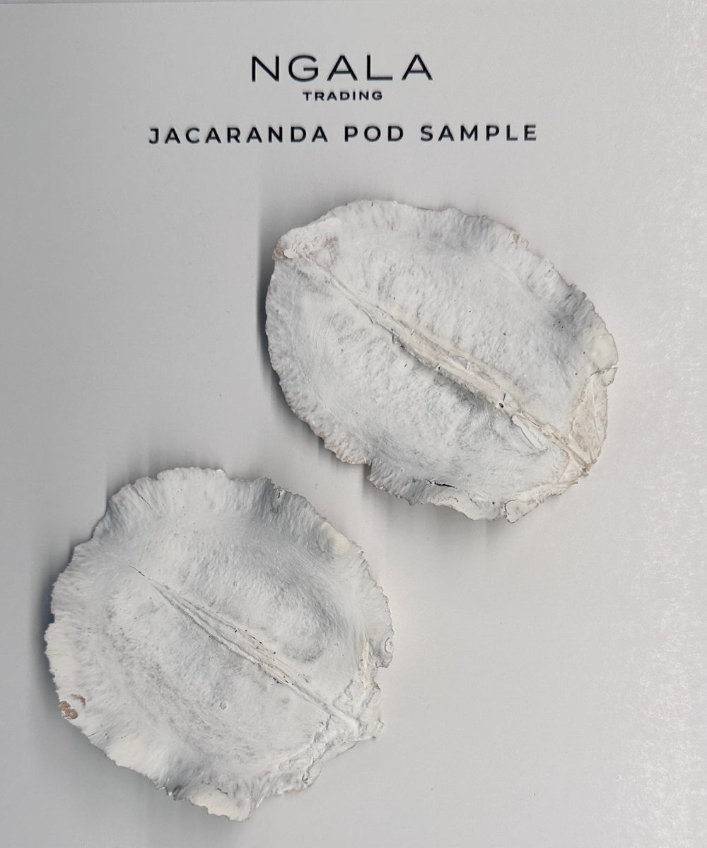Jacaranda Pod Sample
