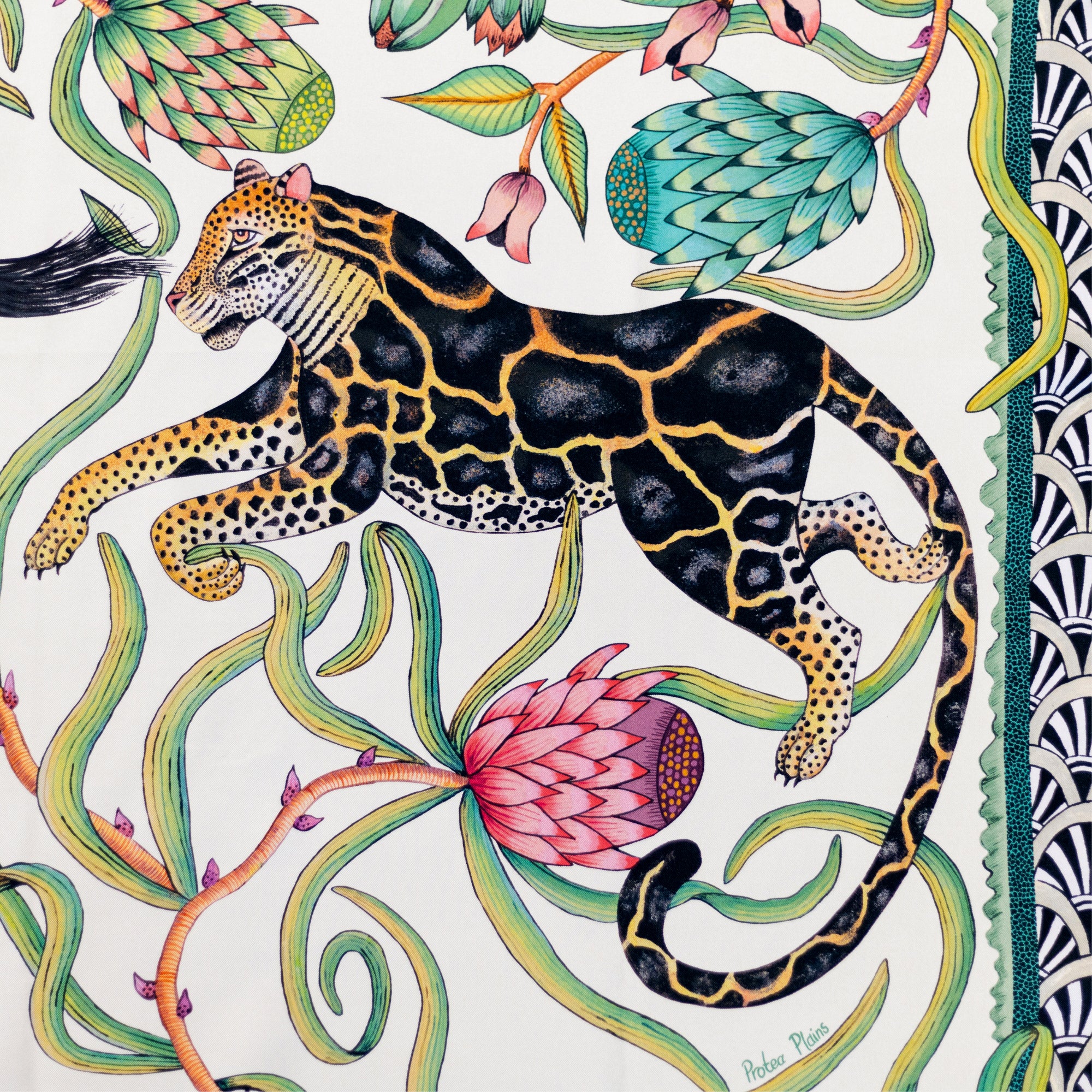 Protea Plains Silk Scarf - Stone