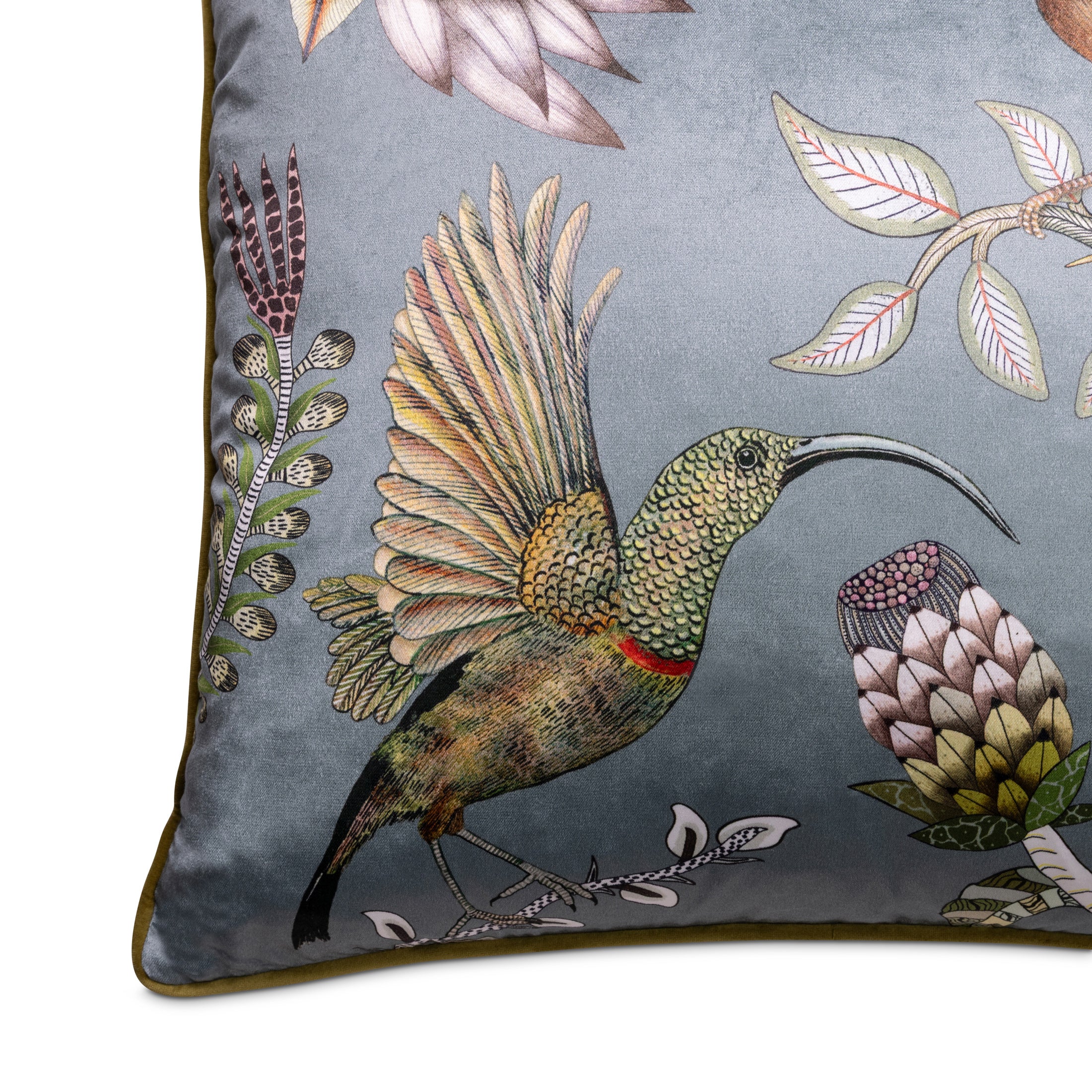 Protea Garden Velvet Pillow - Ash