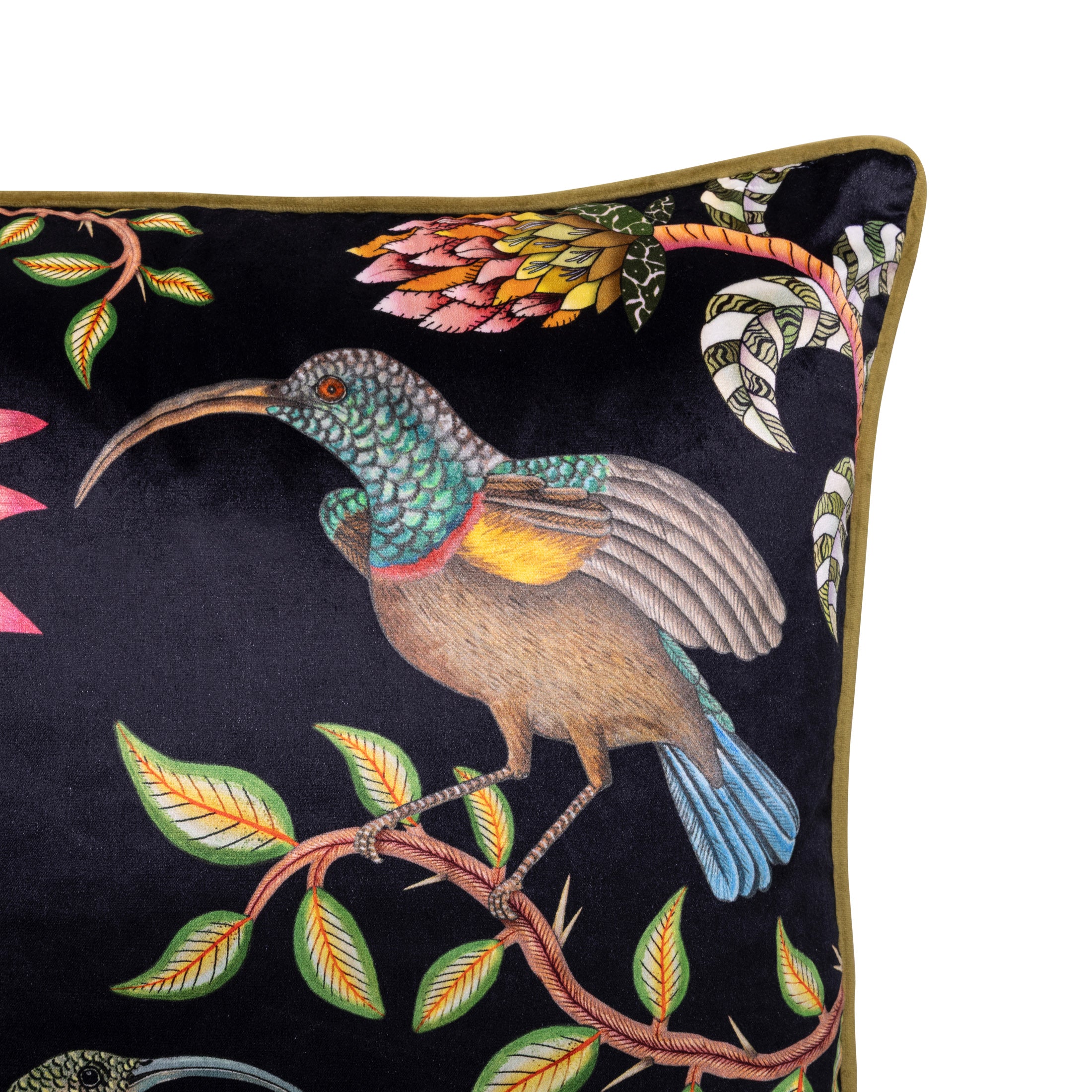 Protea Garden Velvet Pillow - Night
