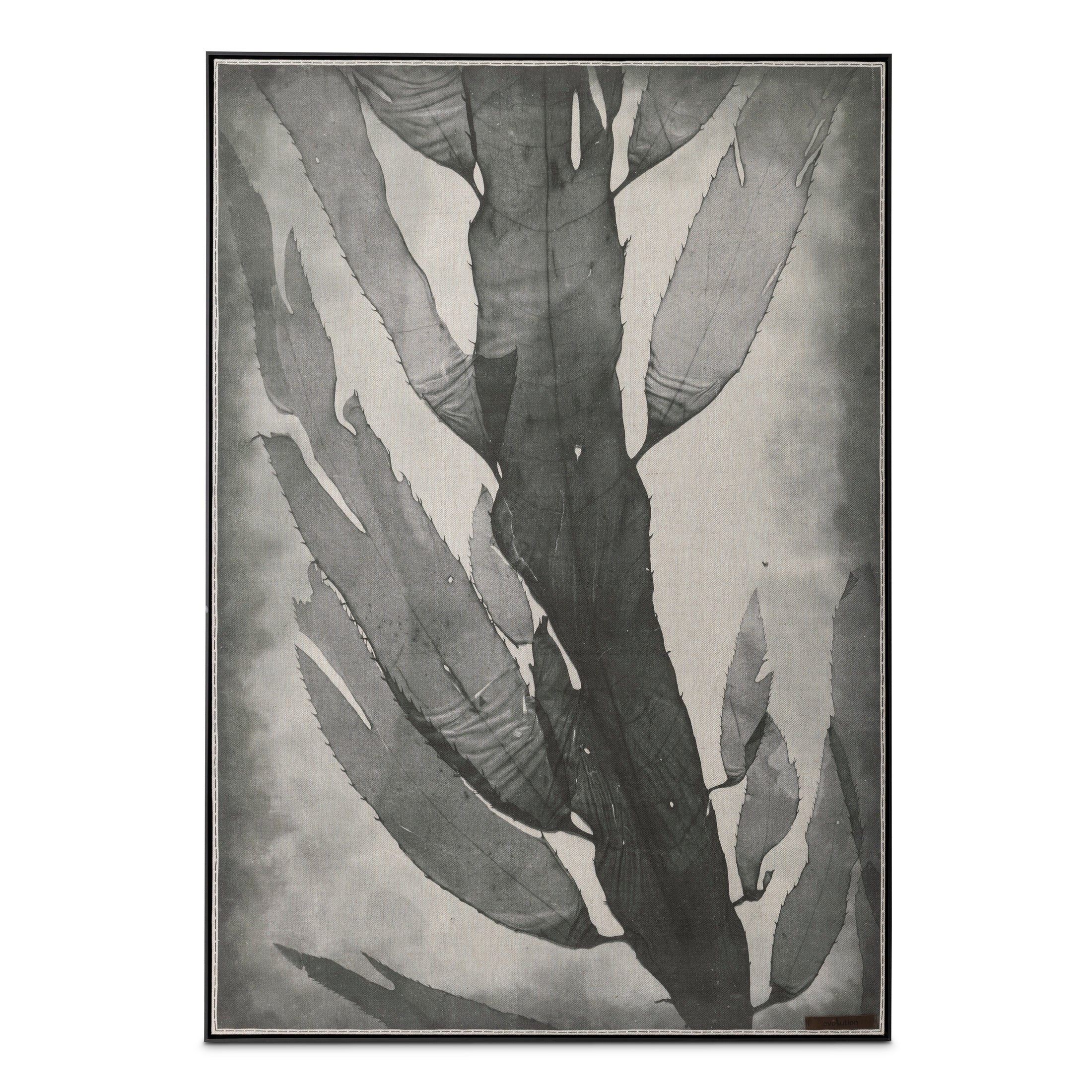 Nemastoma Framed Panel