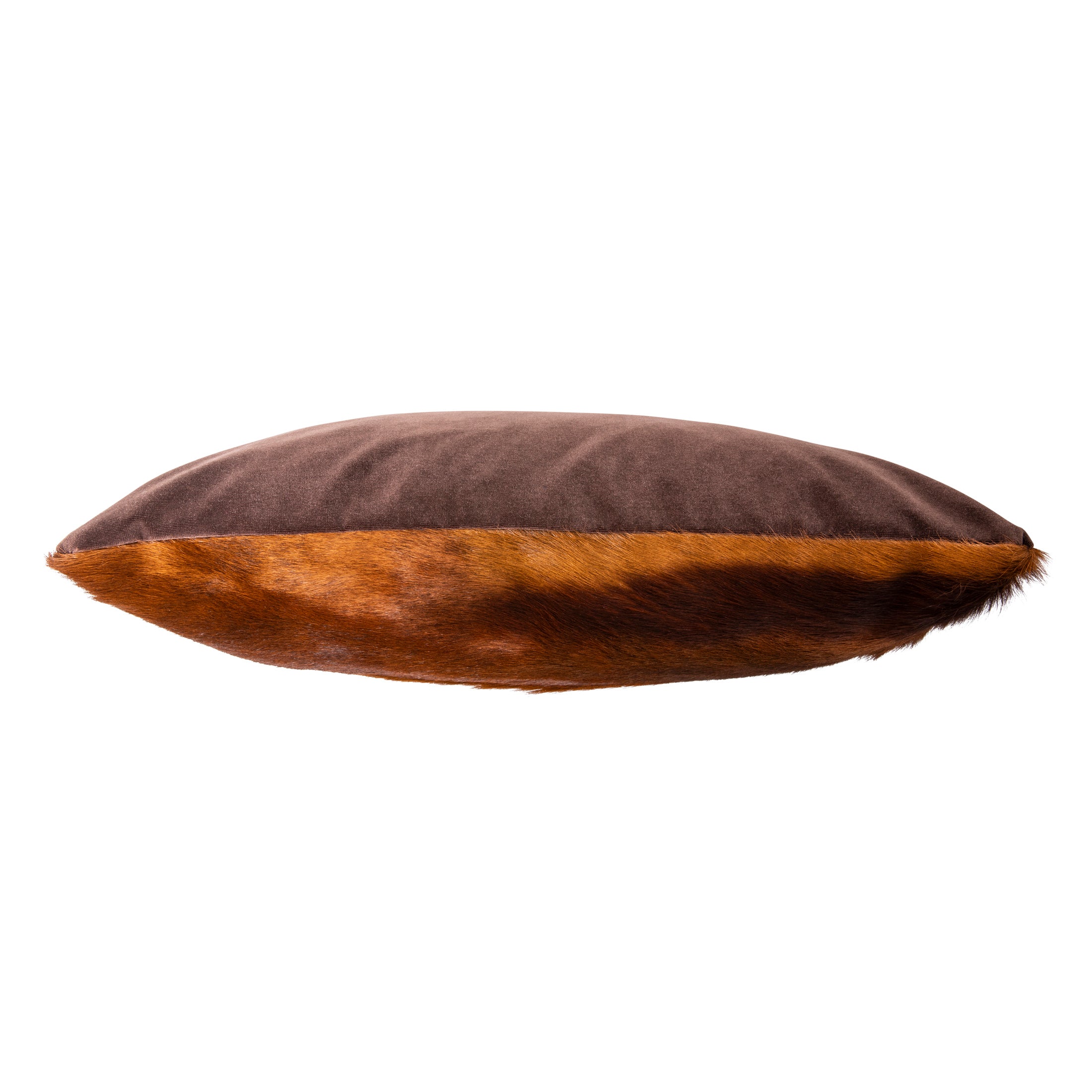 Kinshasha Chocolate Springbok Pillow