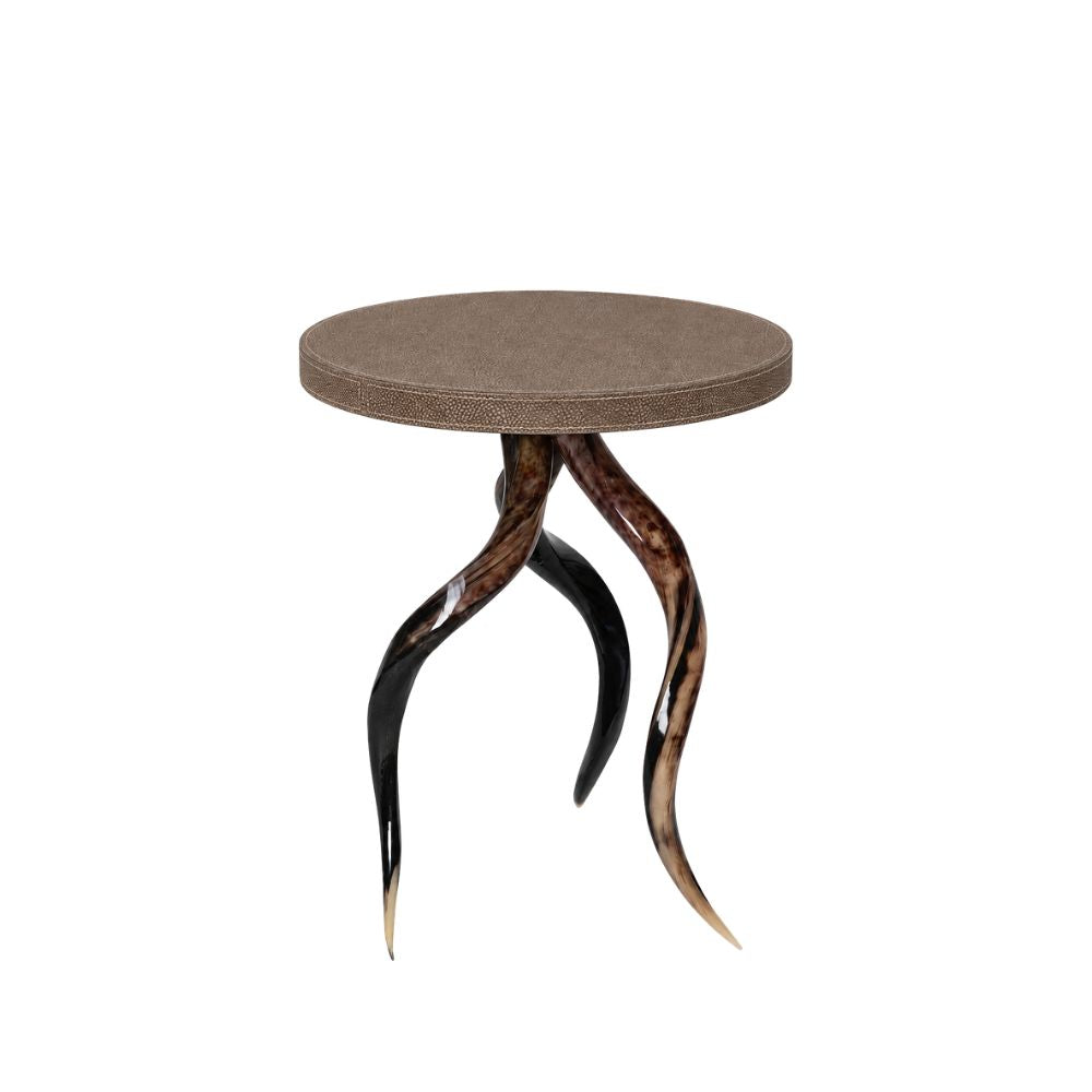 Polished Kudu Horn Table